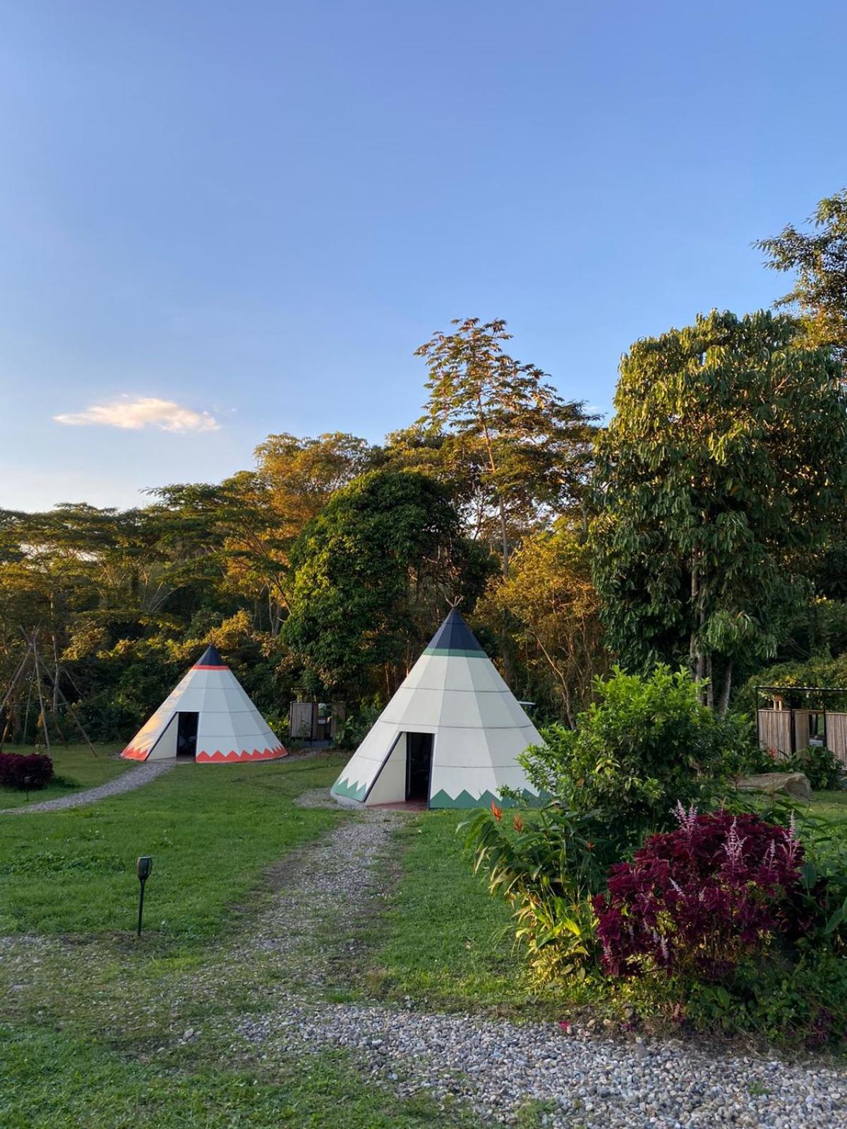 Bosque de Aventura & Glamping El Refugio del Bosque