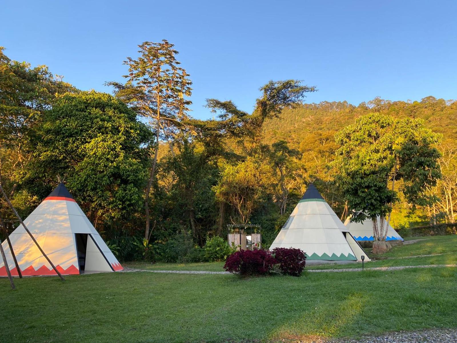 Bosque de Aventura & Glamping El Refugio del Bosque