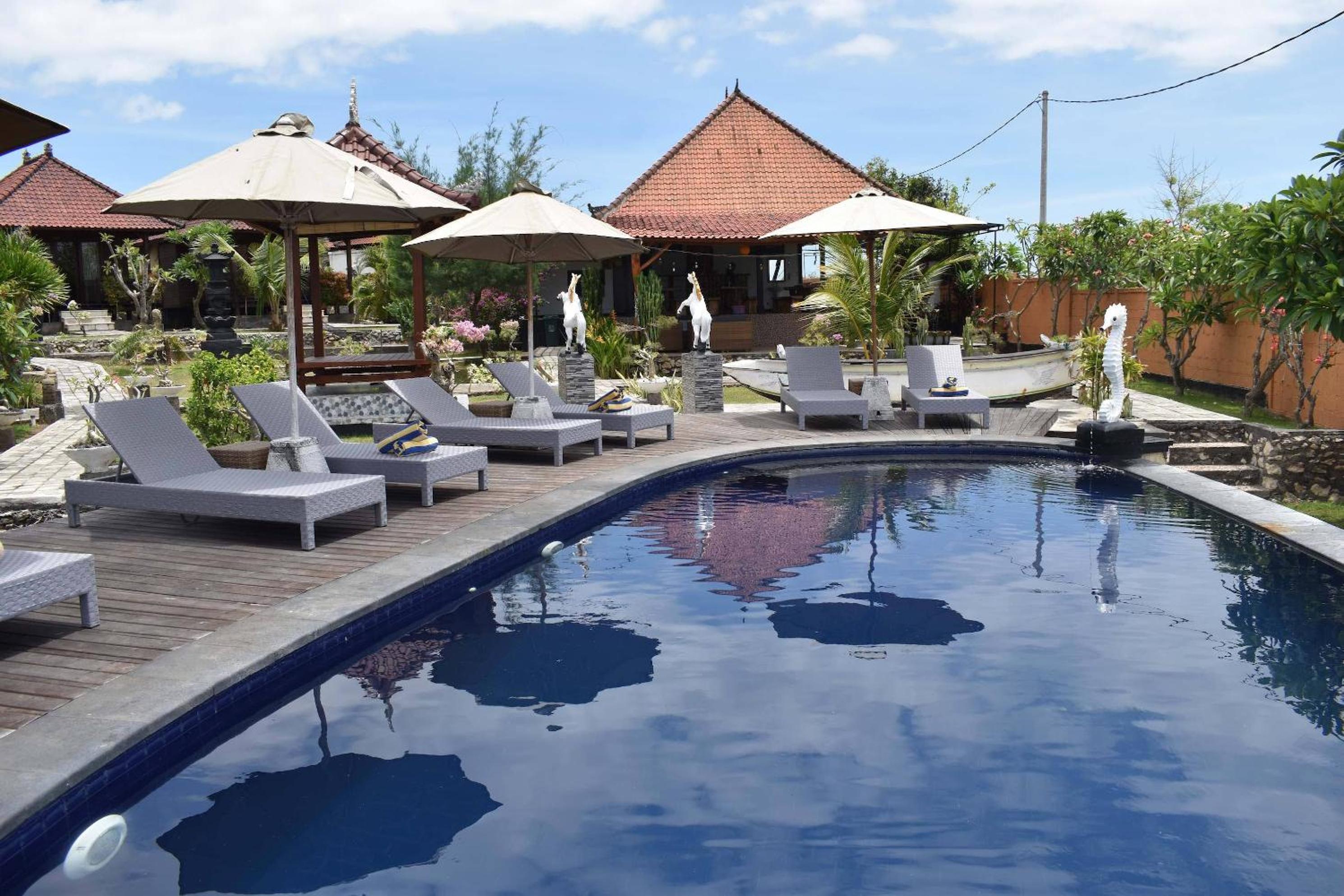 Bali Belva