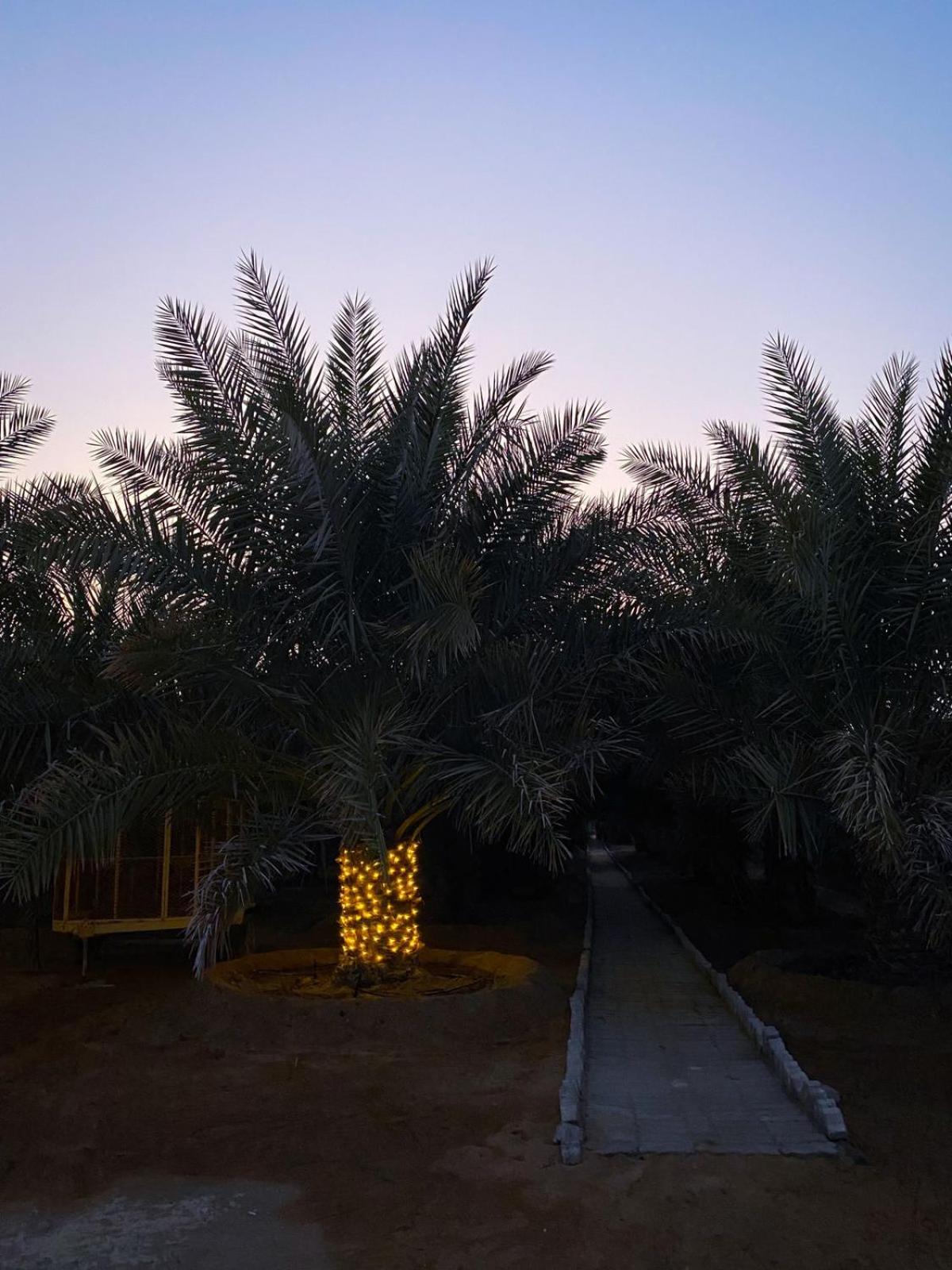 Algor Farm
