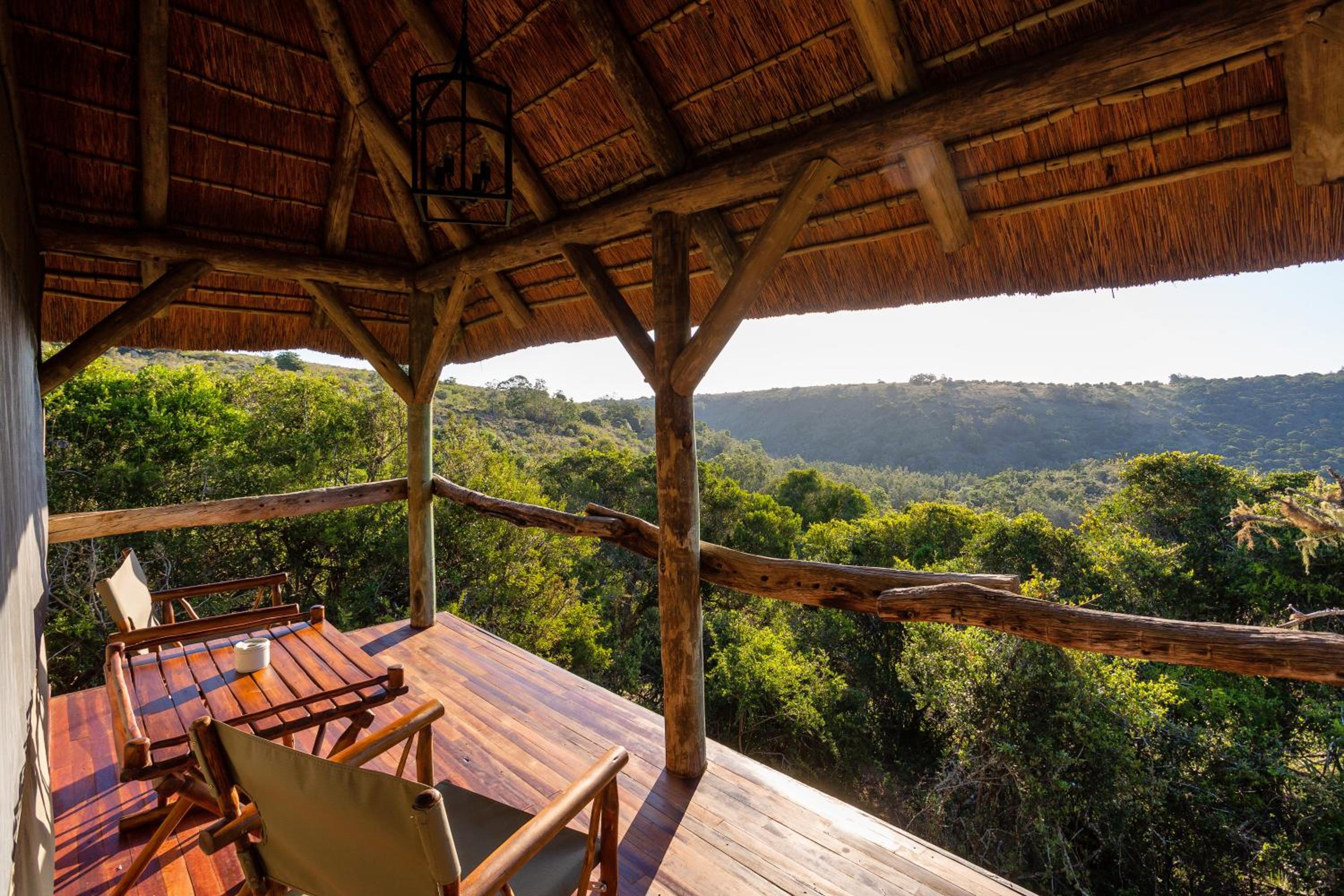 Lalibela Wildlife Reserve - Tree Tops Safari Lodge view 5