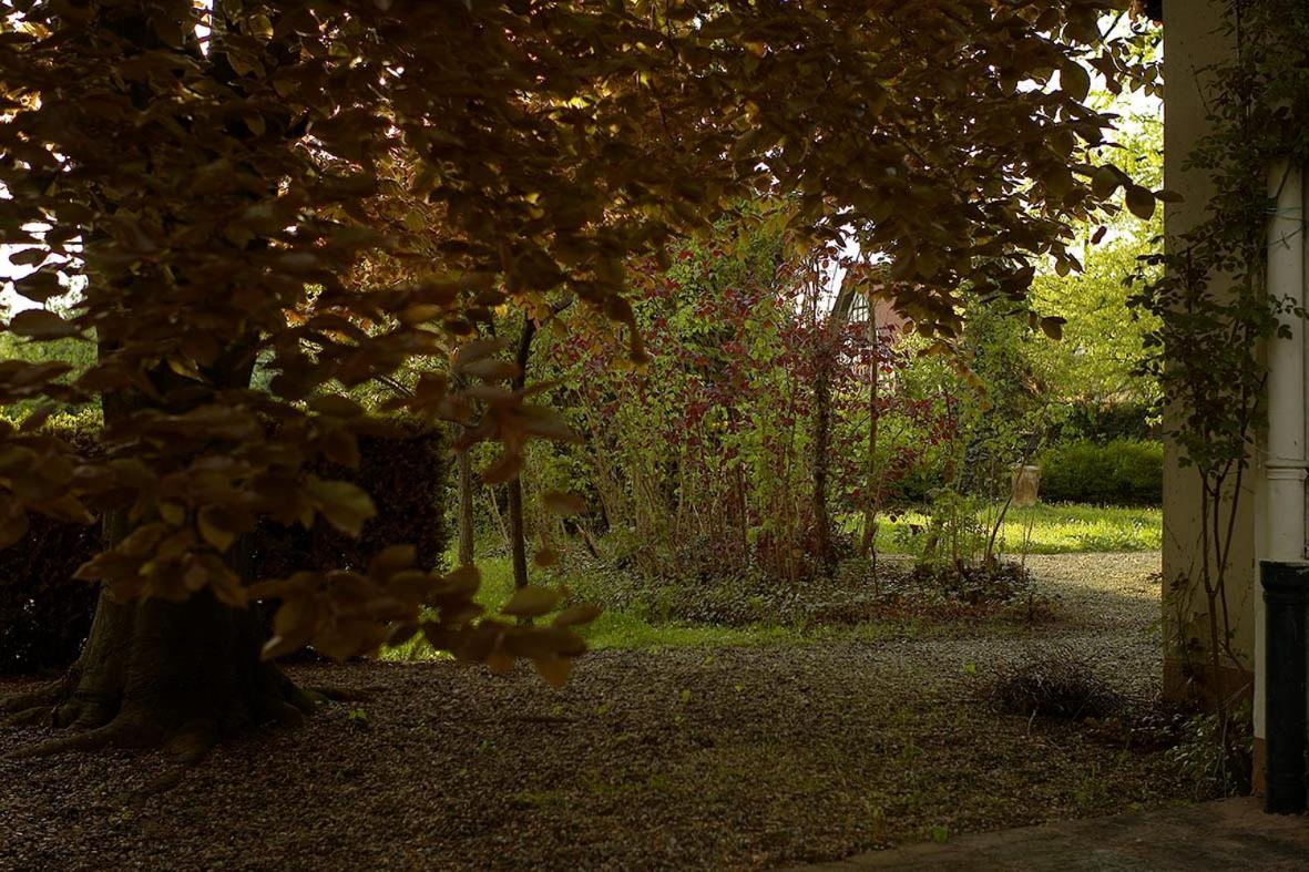 La Maison Carré, photo 3