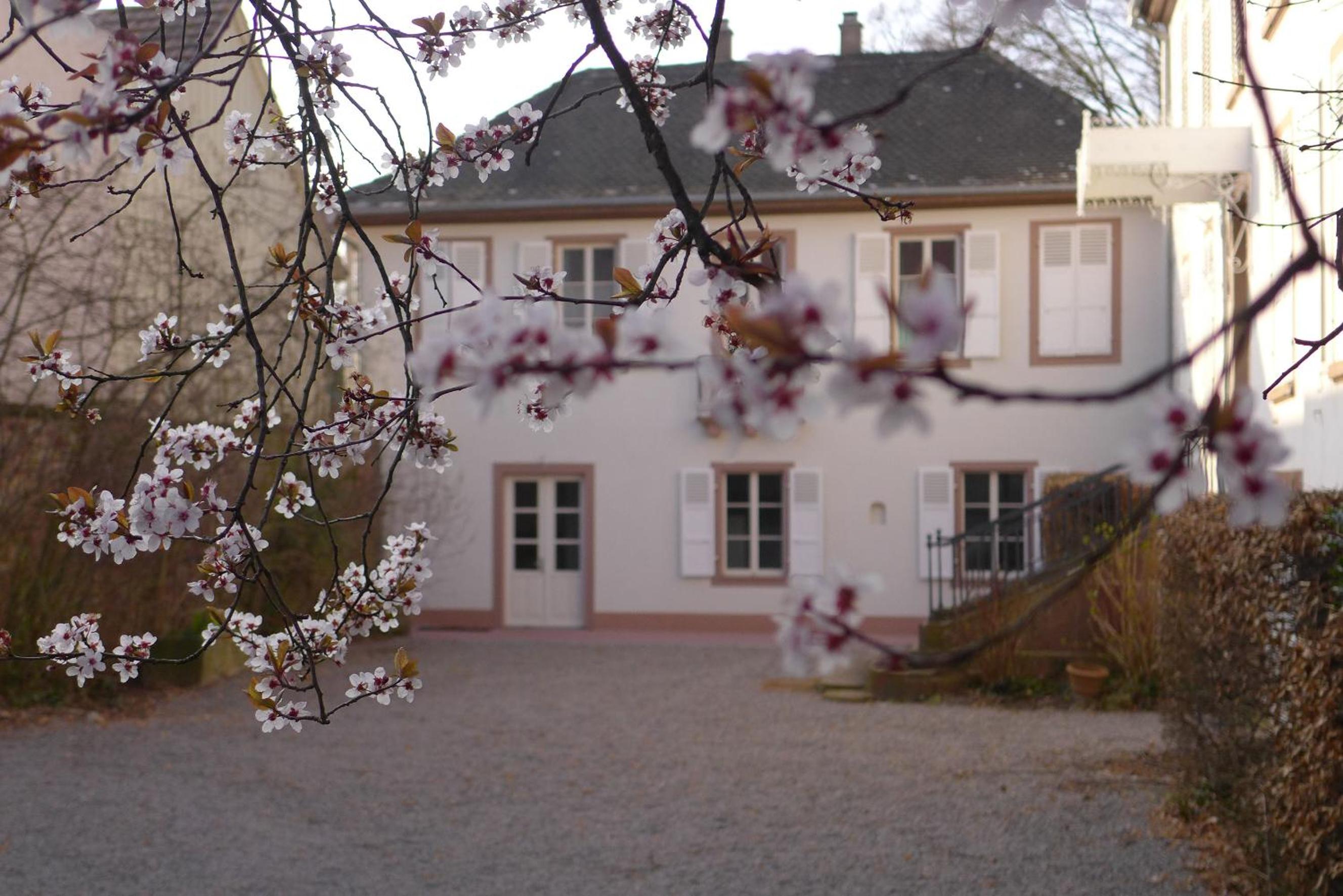 La Maison Carré view 5
