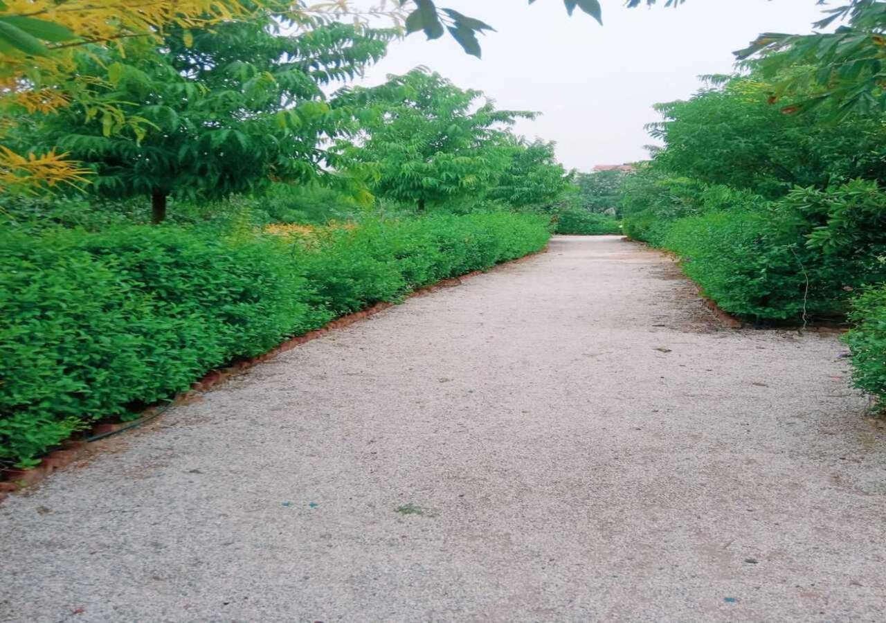 Lohana Village Resort