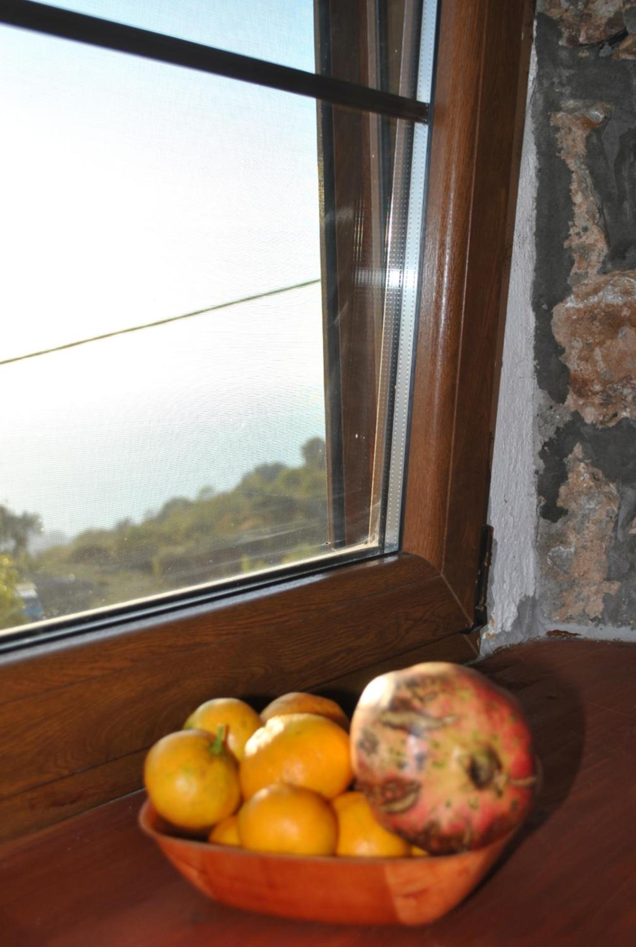 Etno house Velje Selo view 2