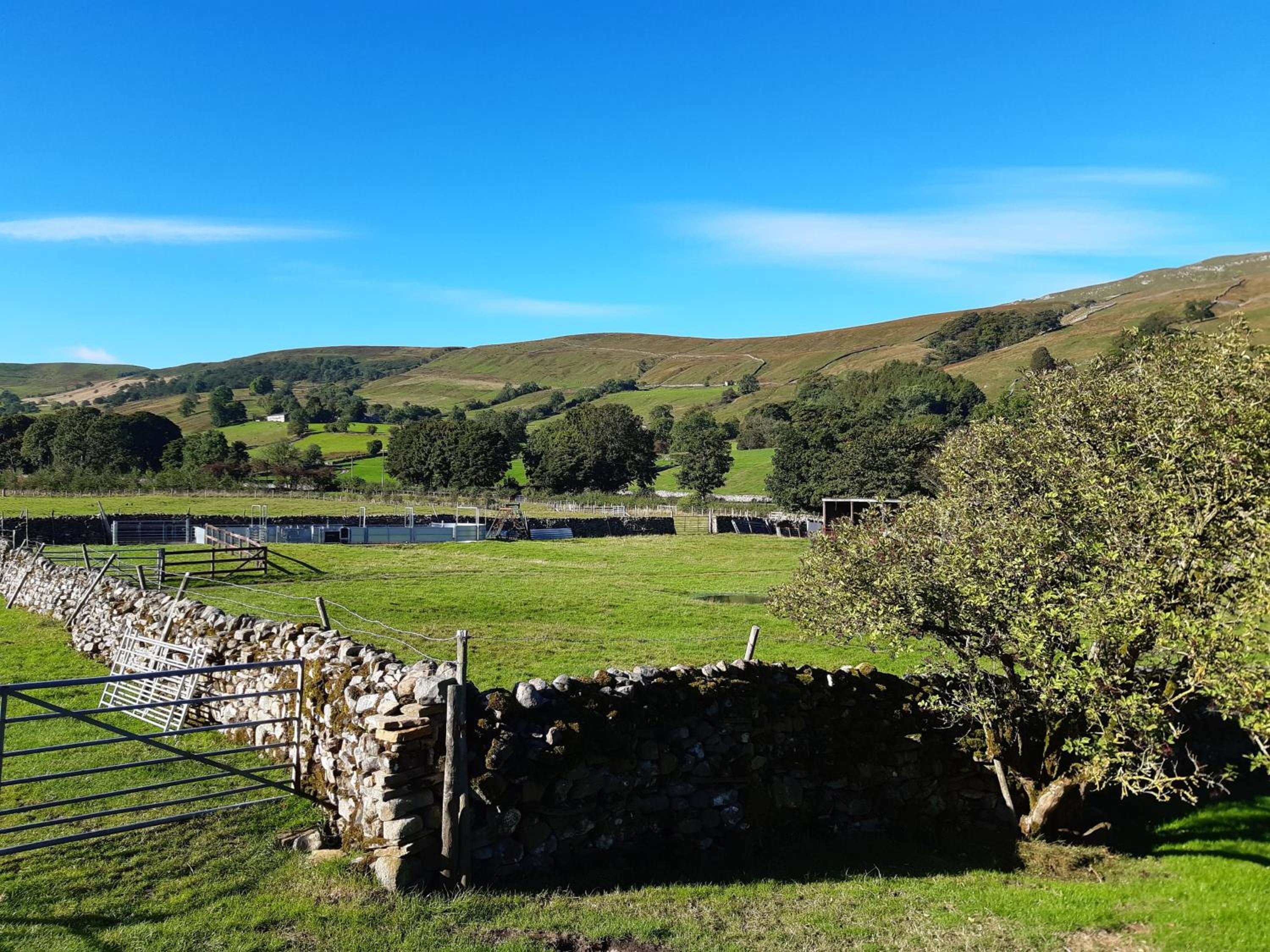 Beckside view 4