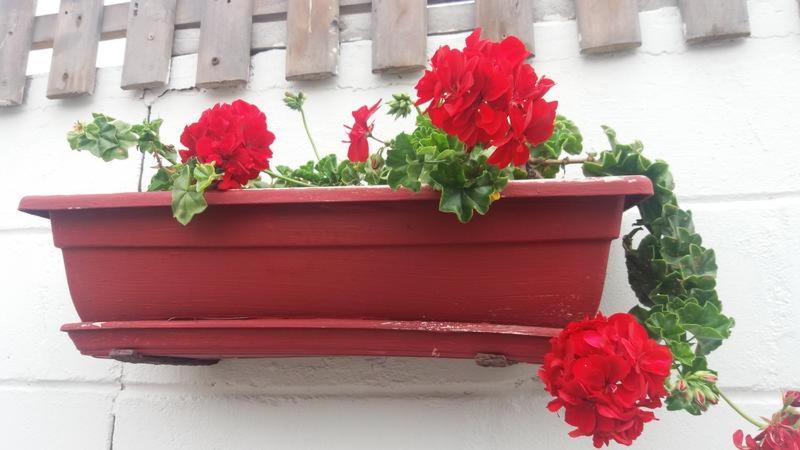 Photo 34