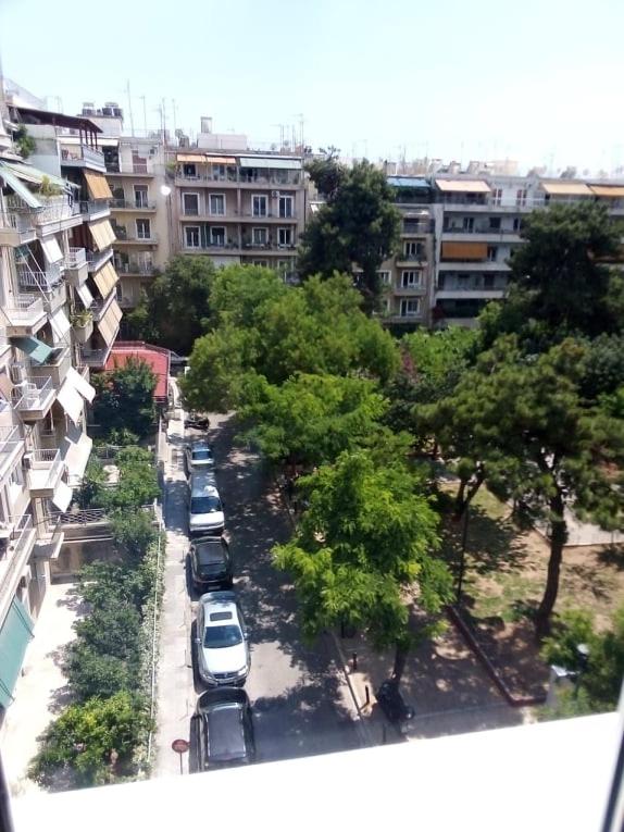 Sylvia' s Apartments