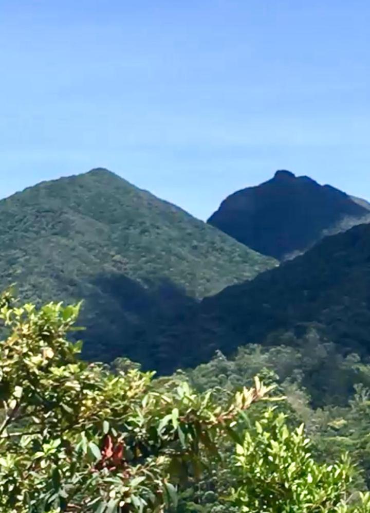 Pinheiros do Rocio