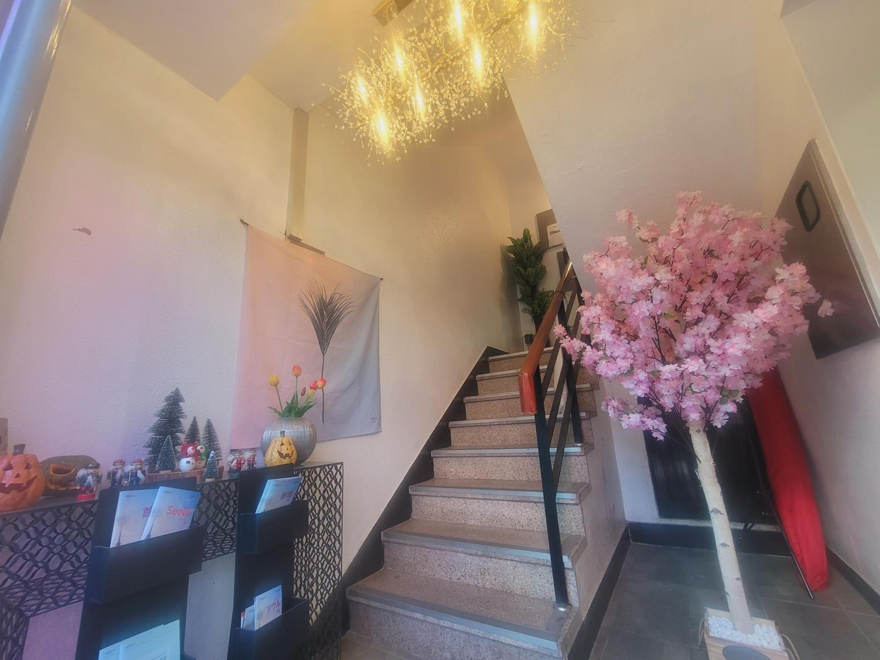 Olive Hostel MyeongDong
