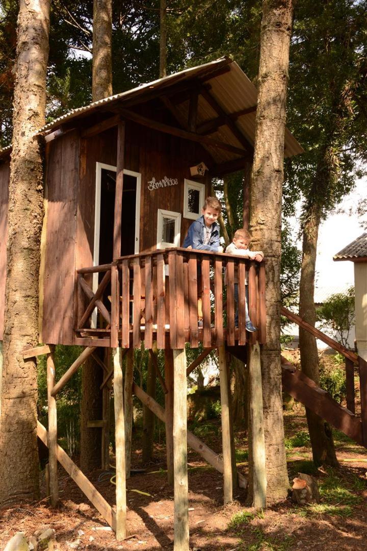 Quintal das Araucárias hospedagem