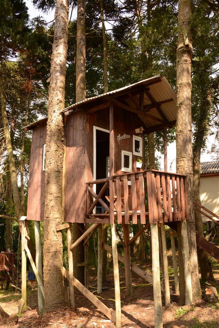 Quintal das Araucárias hospedagem