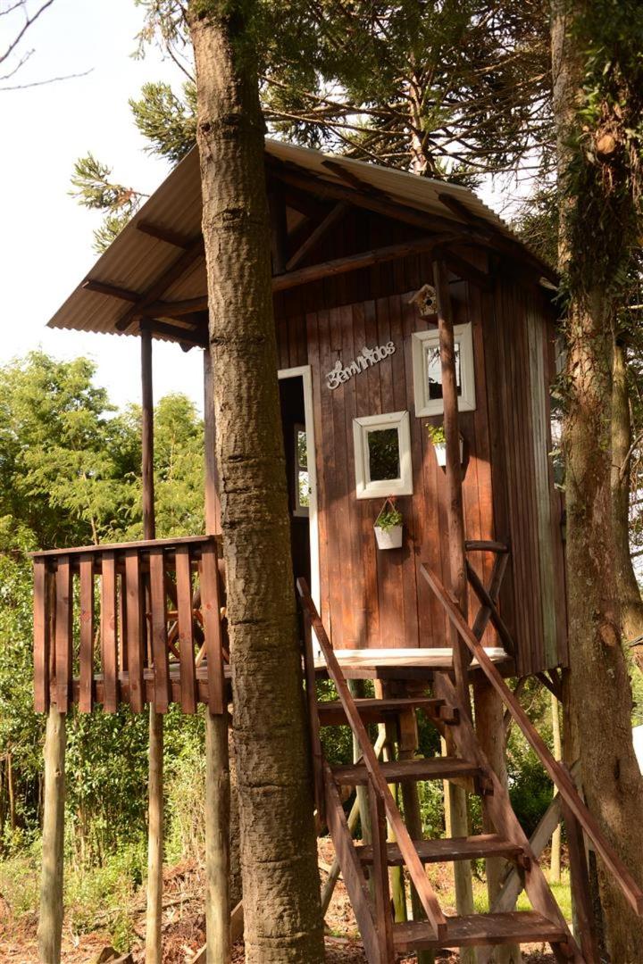 Quintal das Araucárias hospedagem