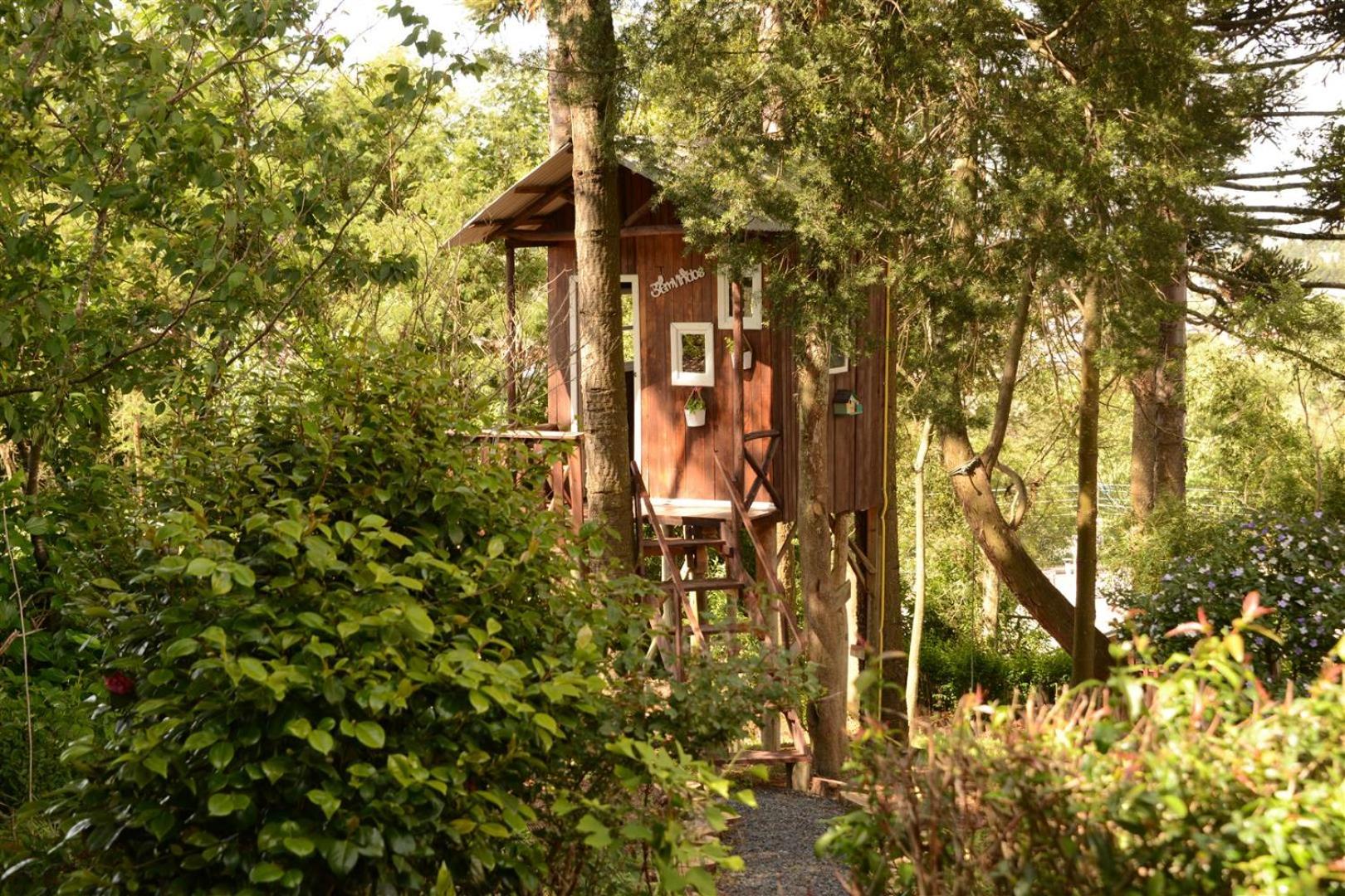 Quintal das Araucárias hospedagem