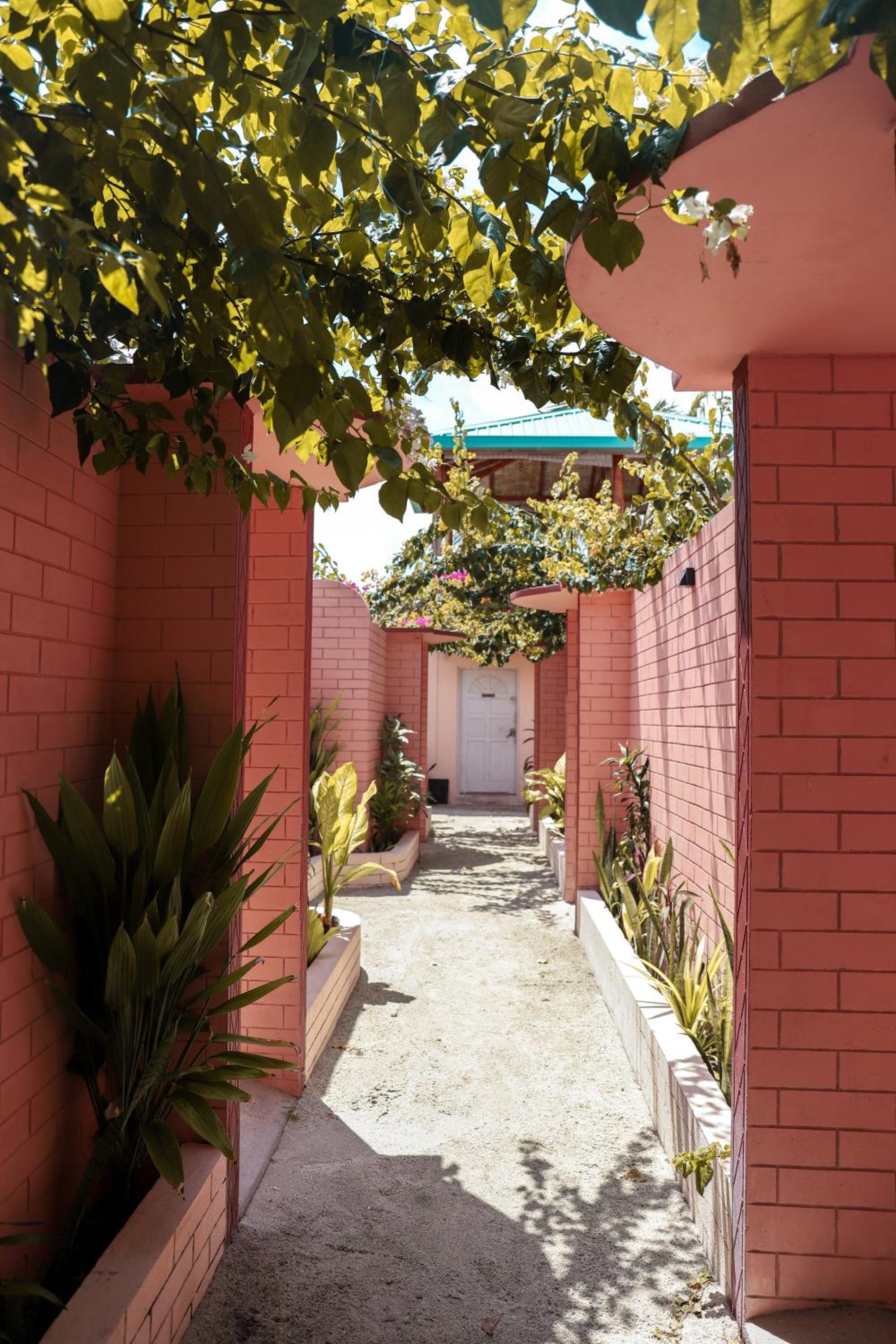 Photo 41