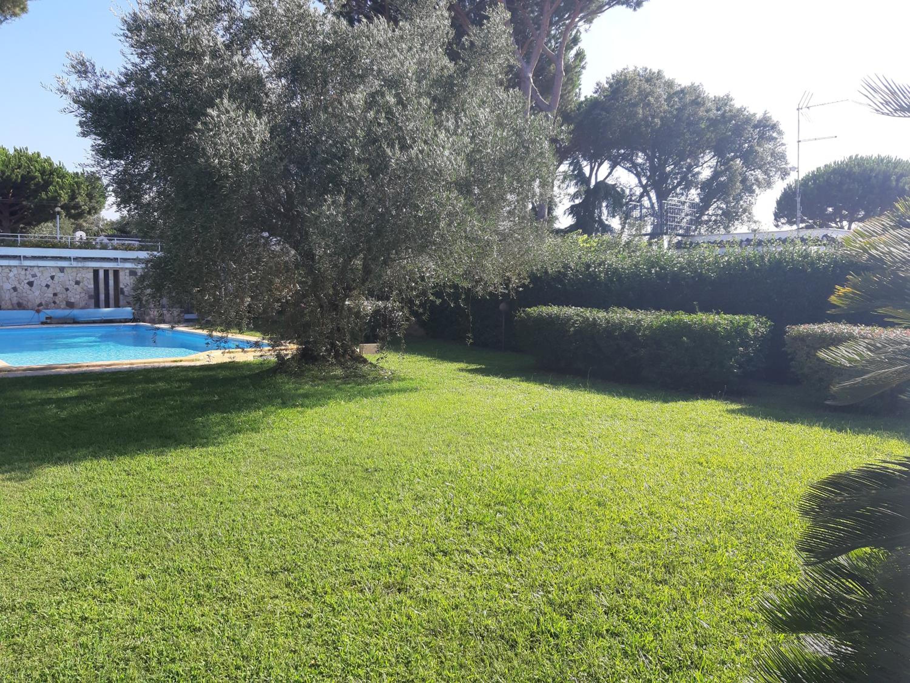 Villa con piscina Circeo - Sabaudia view 3