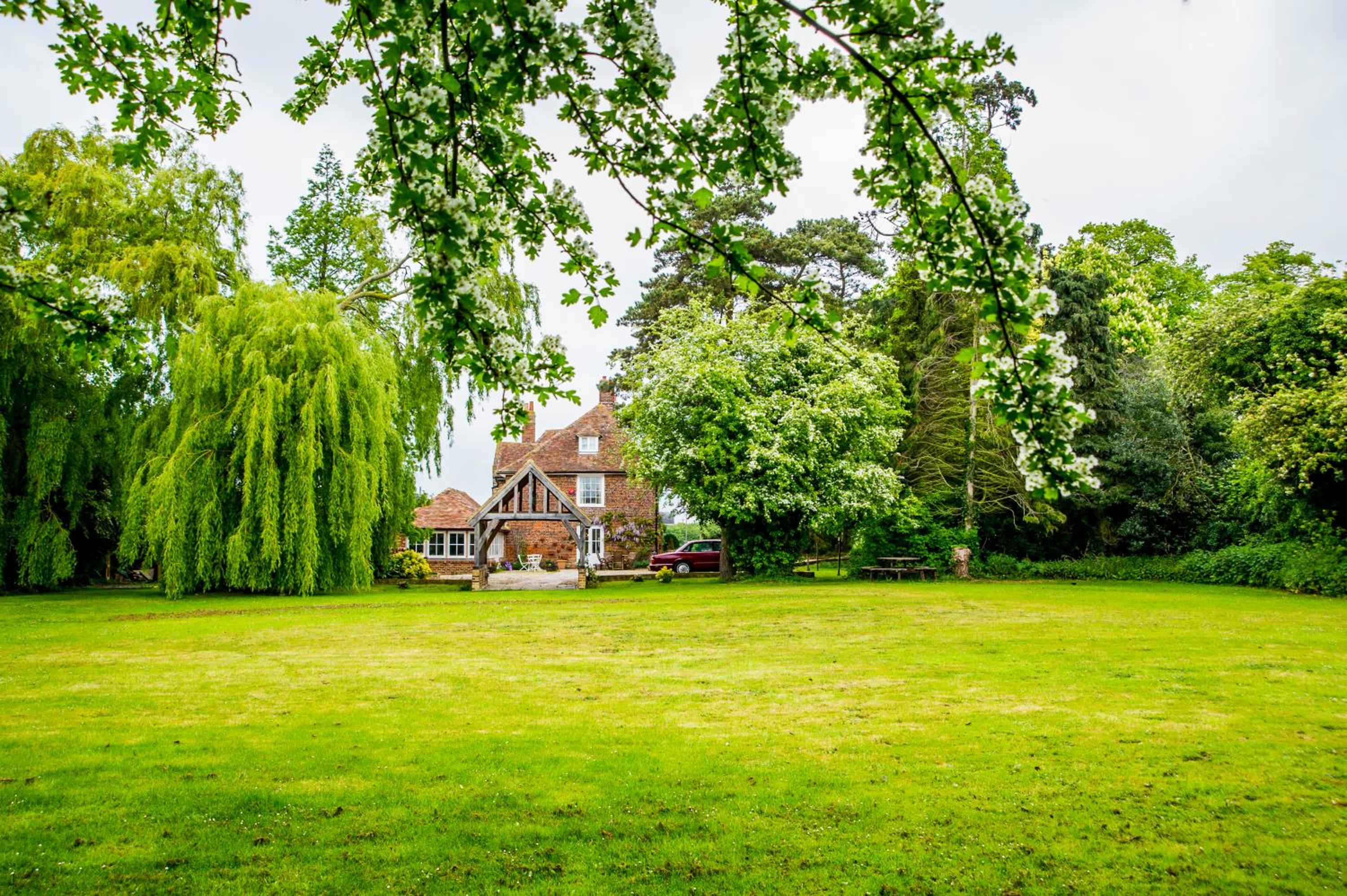 Molland Manor House Self catering (10 bedrooms 9 bathrooms) view 4
