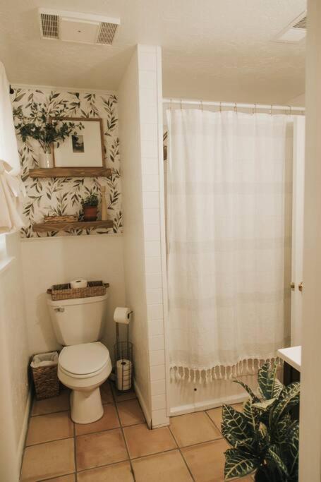 Photo 19