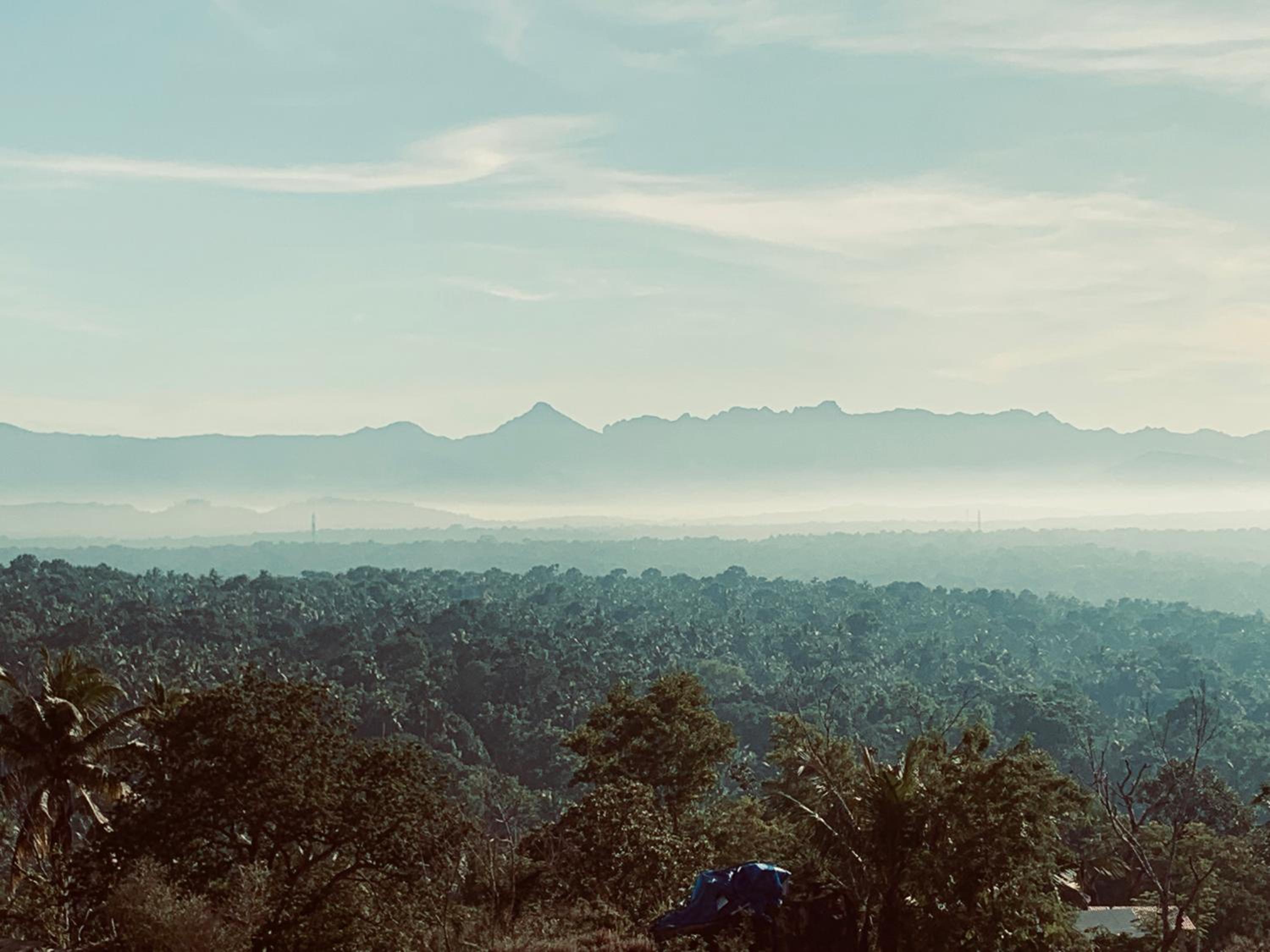 Kovalam Vacations - AMARA AYURVEDA RETREAT- Overlooking Evergreen Western Ghats an ecologically sustainable living space in Kovalam - Property Image 48
