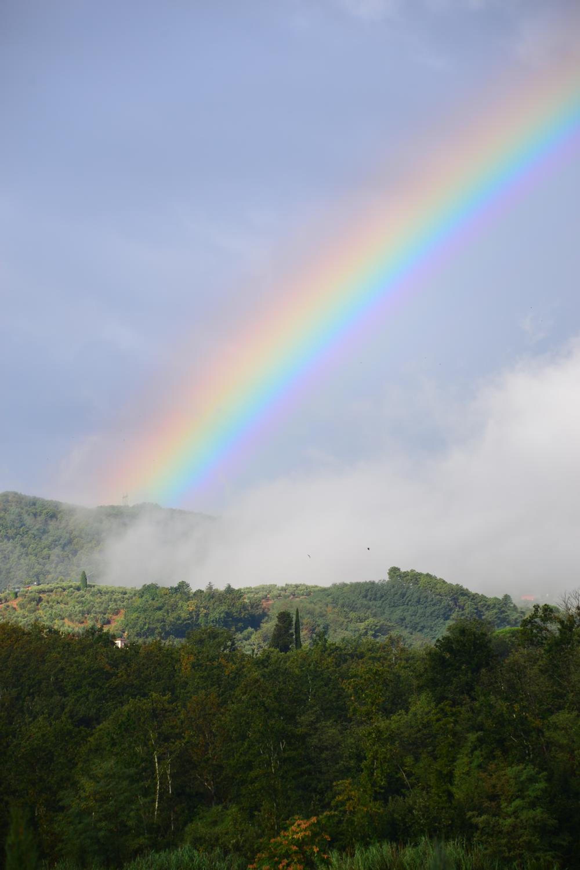 Amedea Tuscany Country Experience