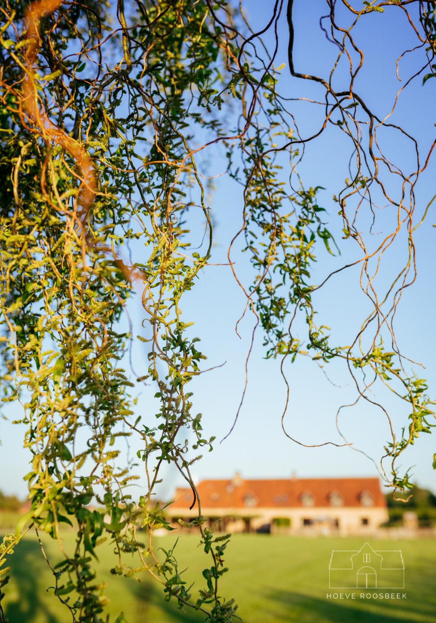 Hoeve Roosbeek