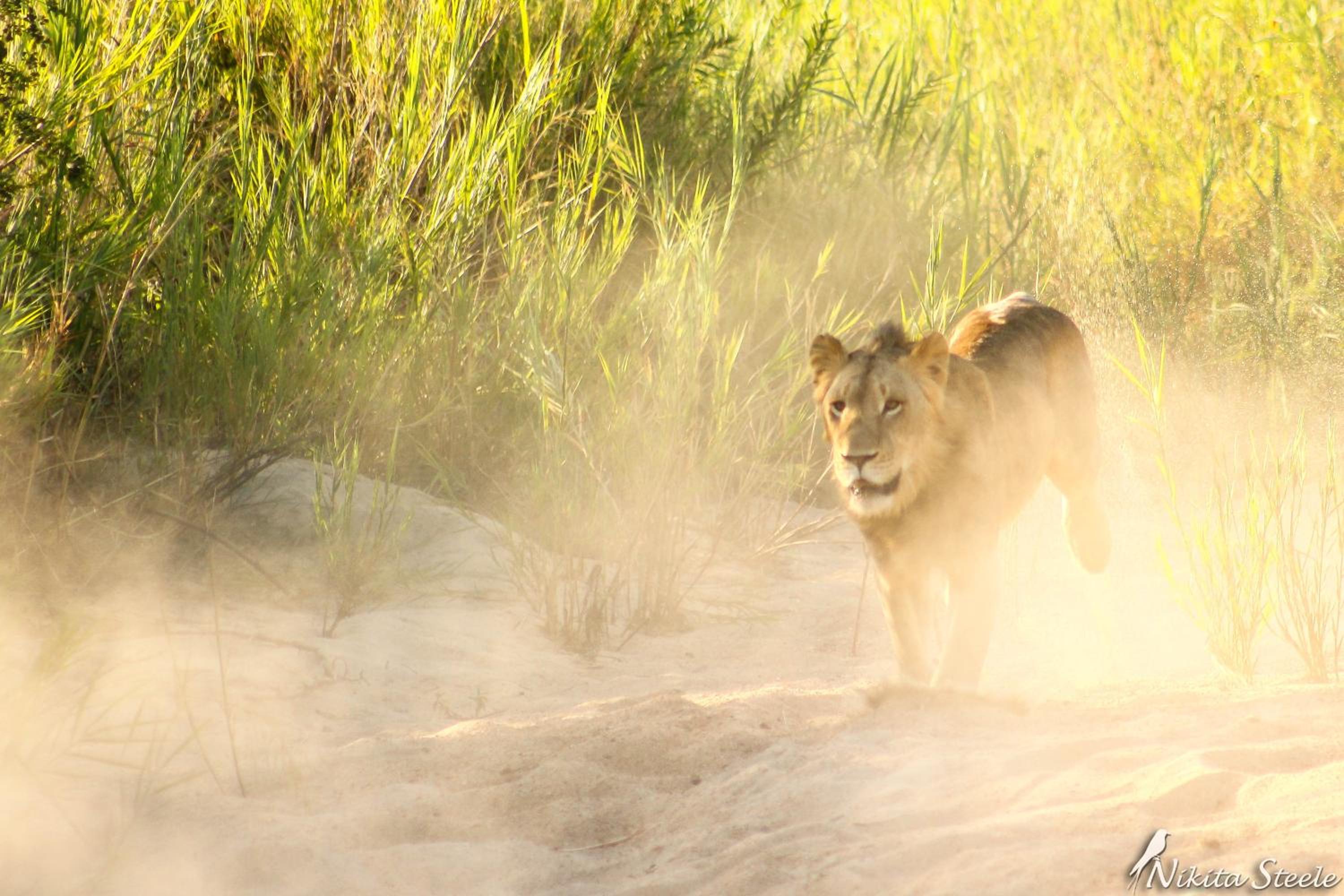 Hazyview Vacations - Linvale Country Lodge - Property Image 69