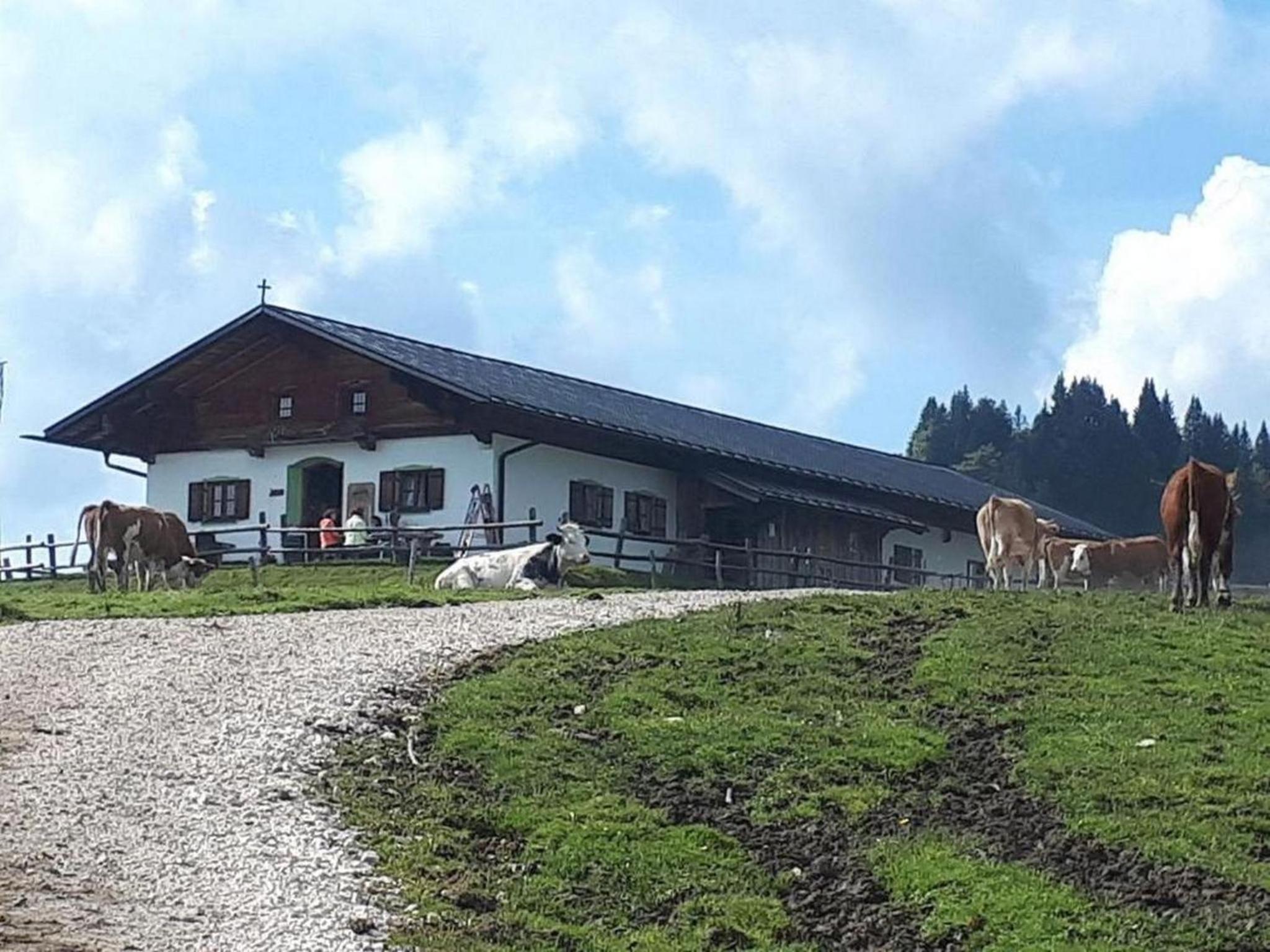 Ferienwohnung Kreuz view 5