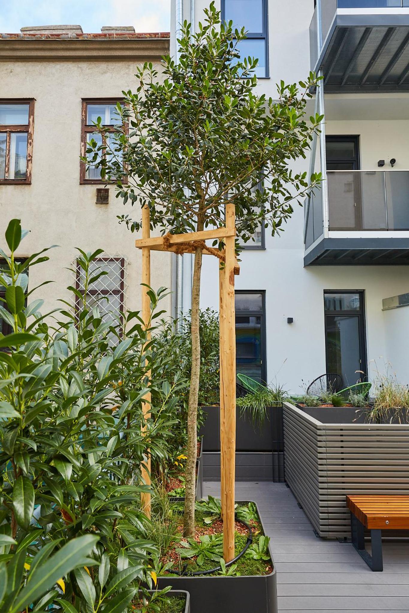 Green Leisure Apartments Schweglerstrasse