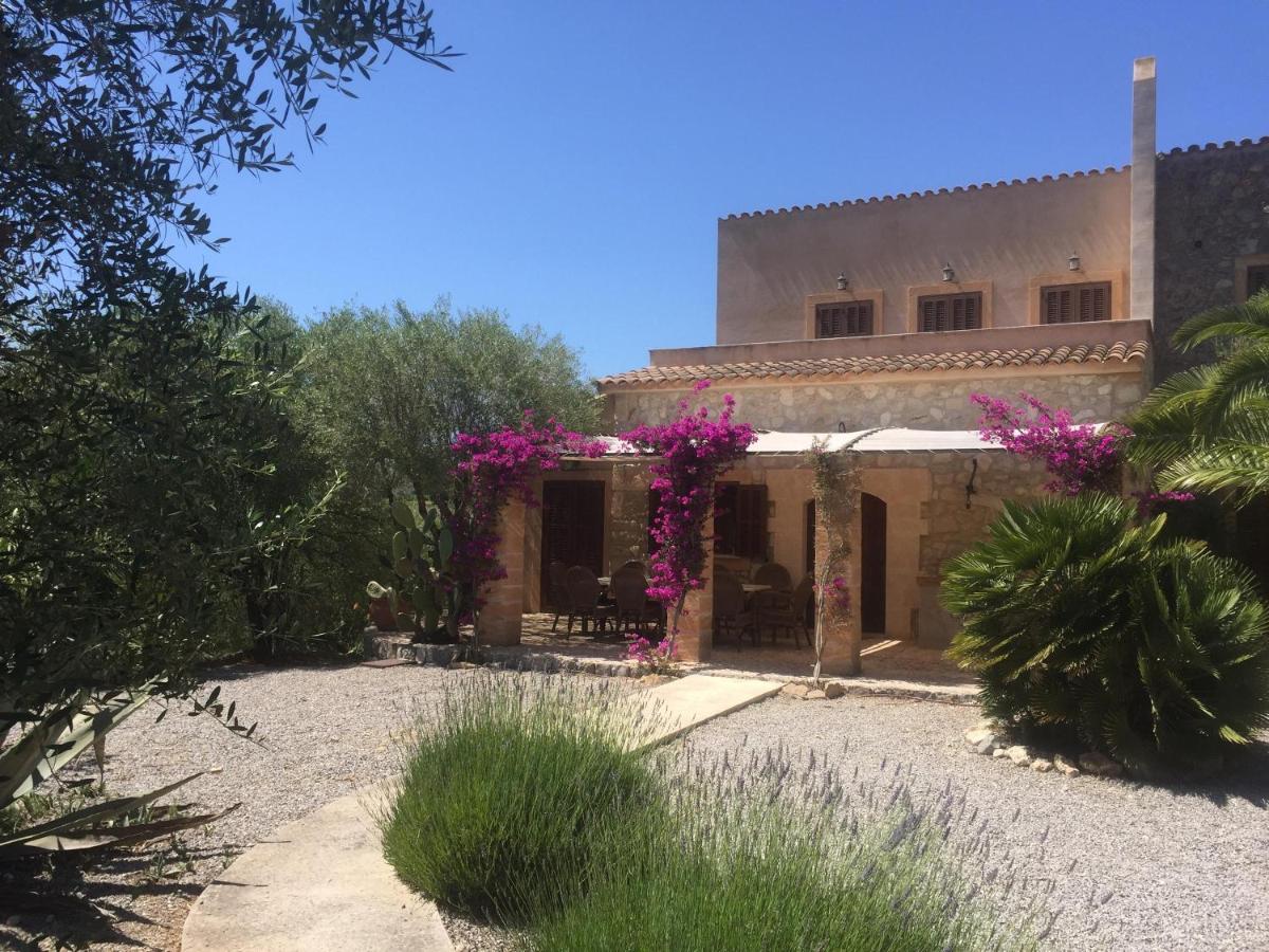 Finca S'olivar d'es Coscois