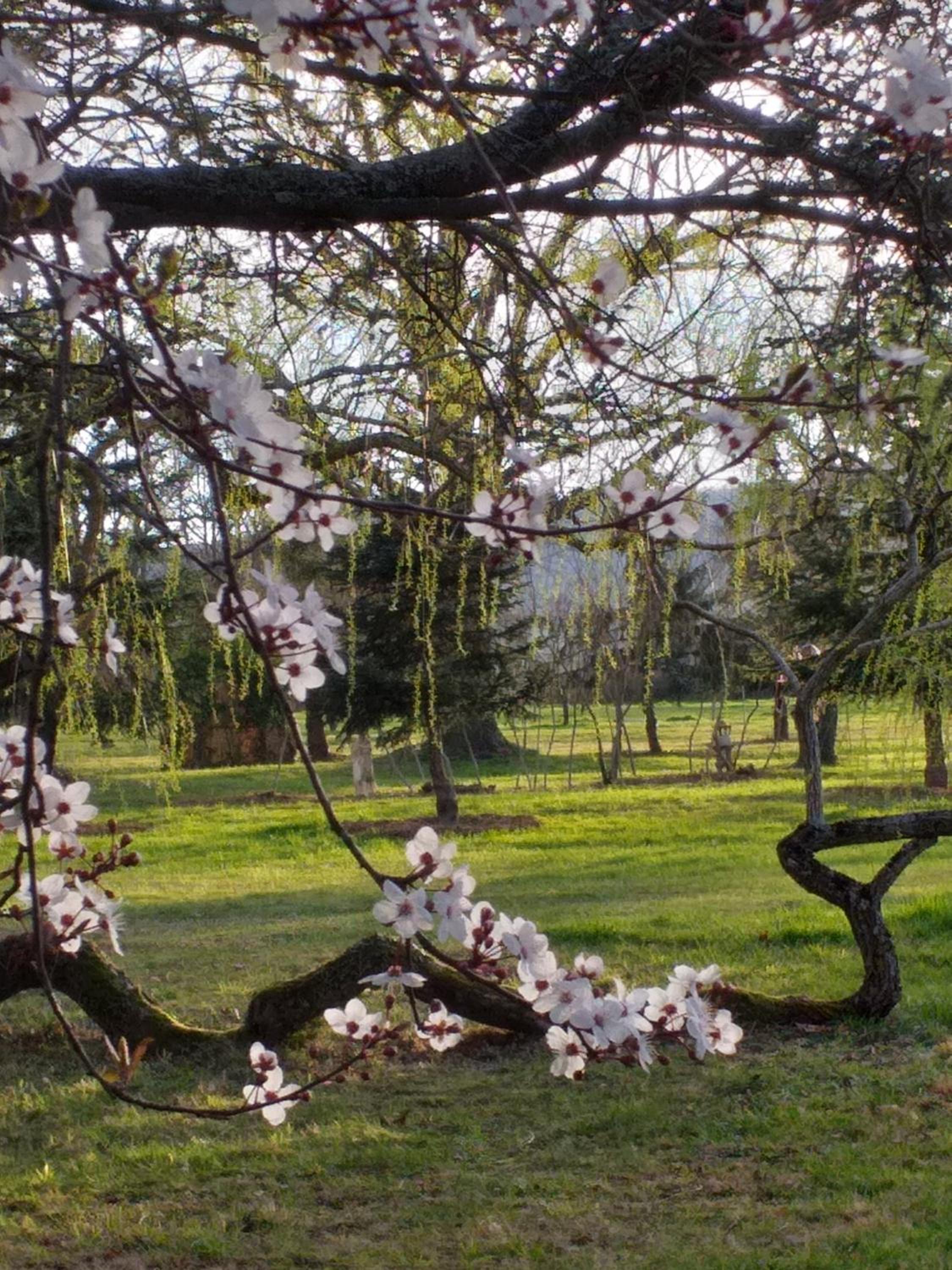 Rycerka Górna Sport&Spa view 5