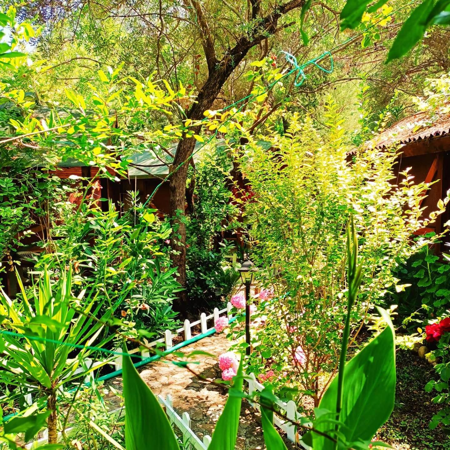 Canario Bungalows
