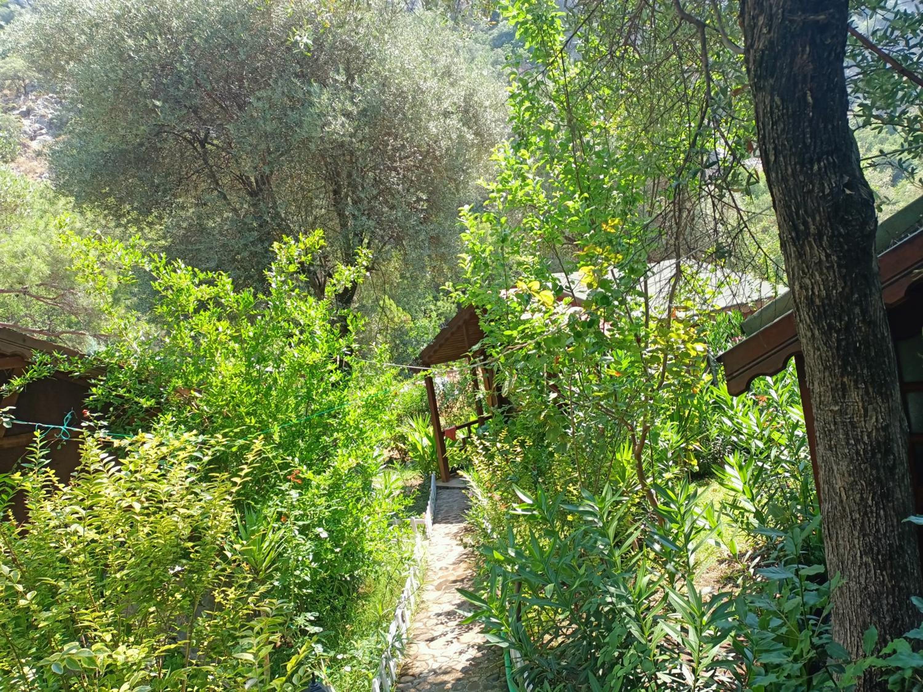 Canario Bungalows