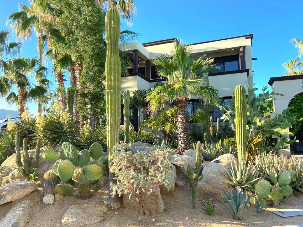 Spectacular Vacation Home Ocean View Walk to Beach view 4