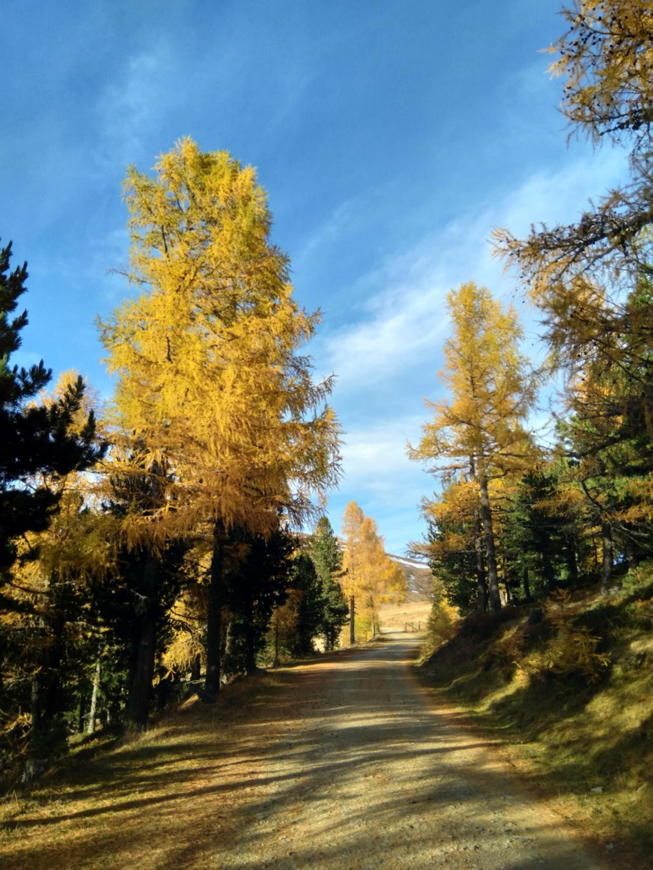 Marktlhütte