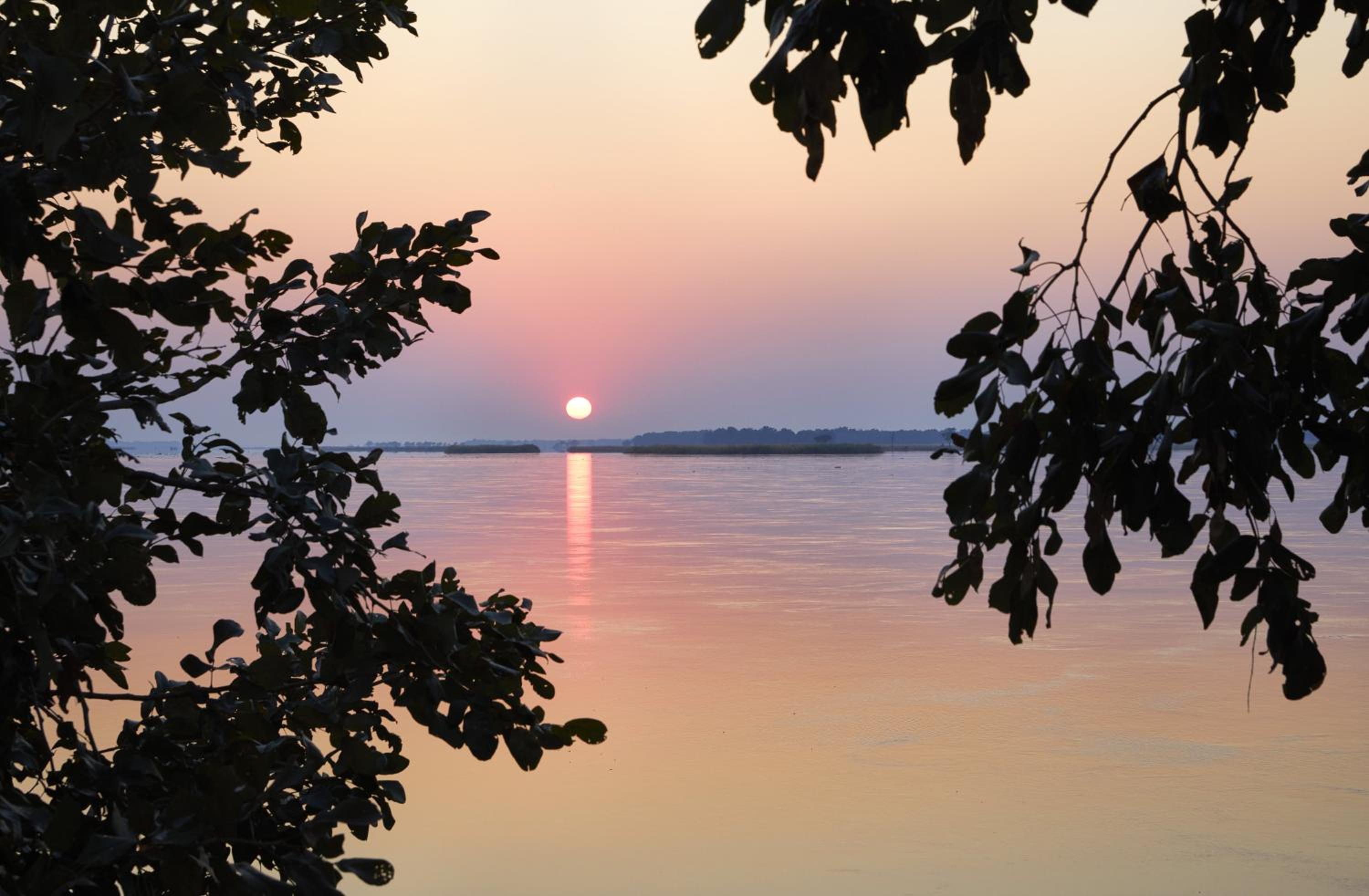 Zambezi Grande Private Game Experience