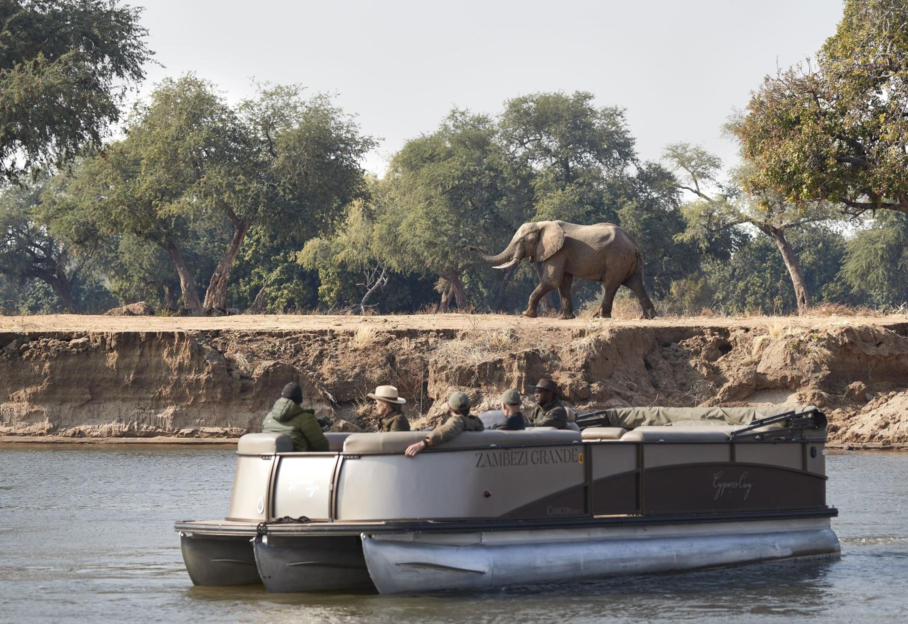 Zambezi Grande Private Game Experience