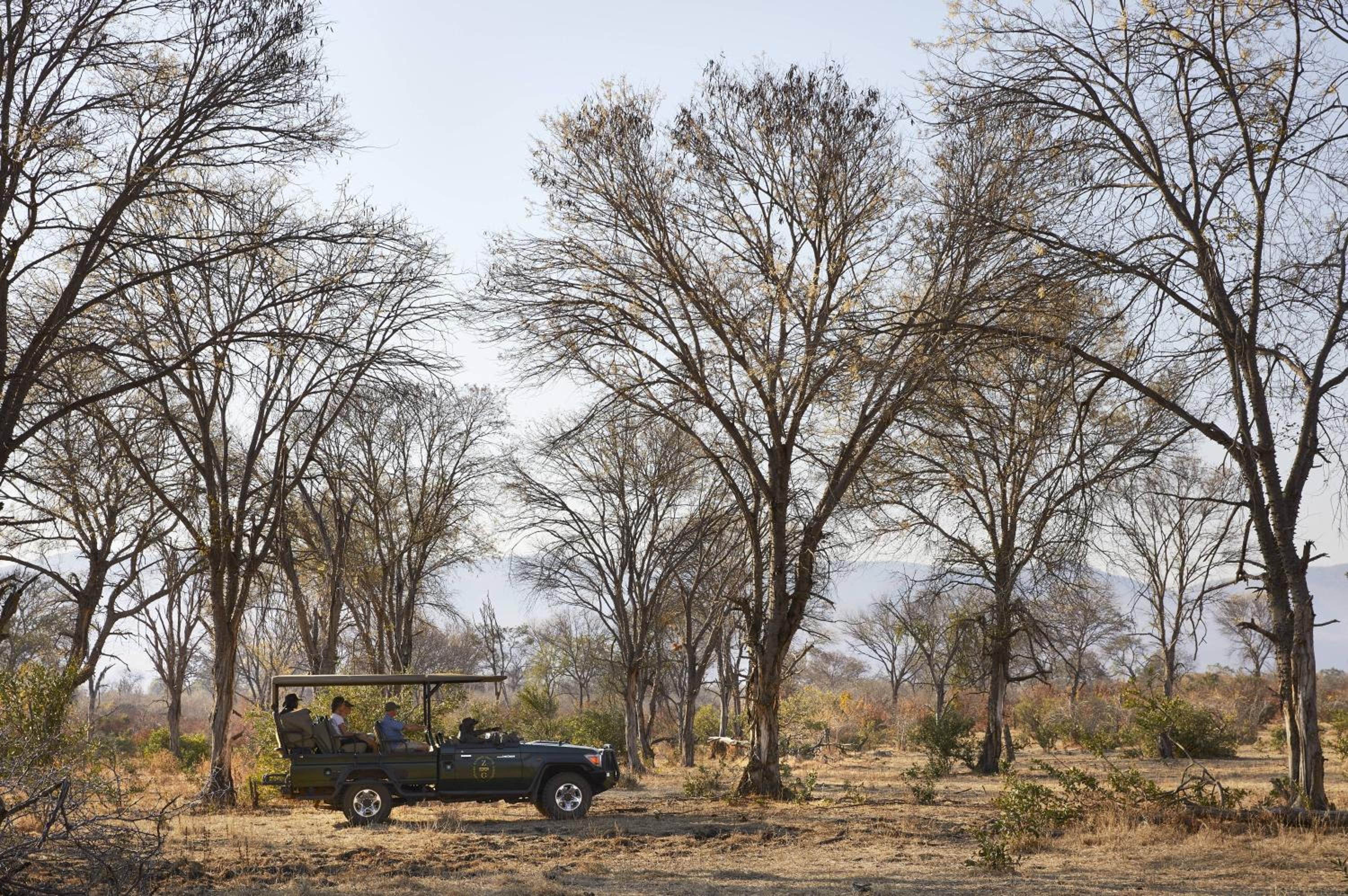 Zambezi Grande Private Game Experience