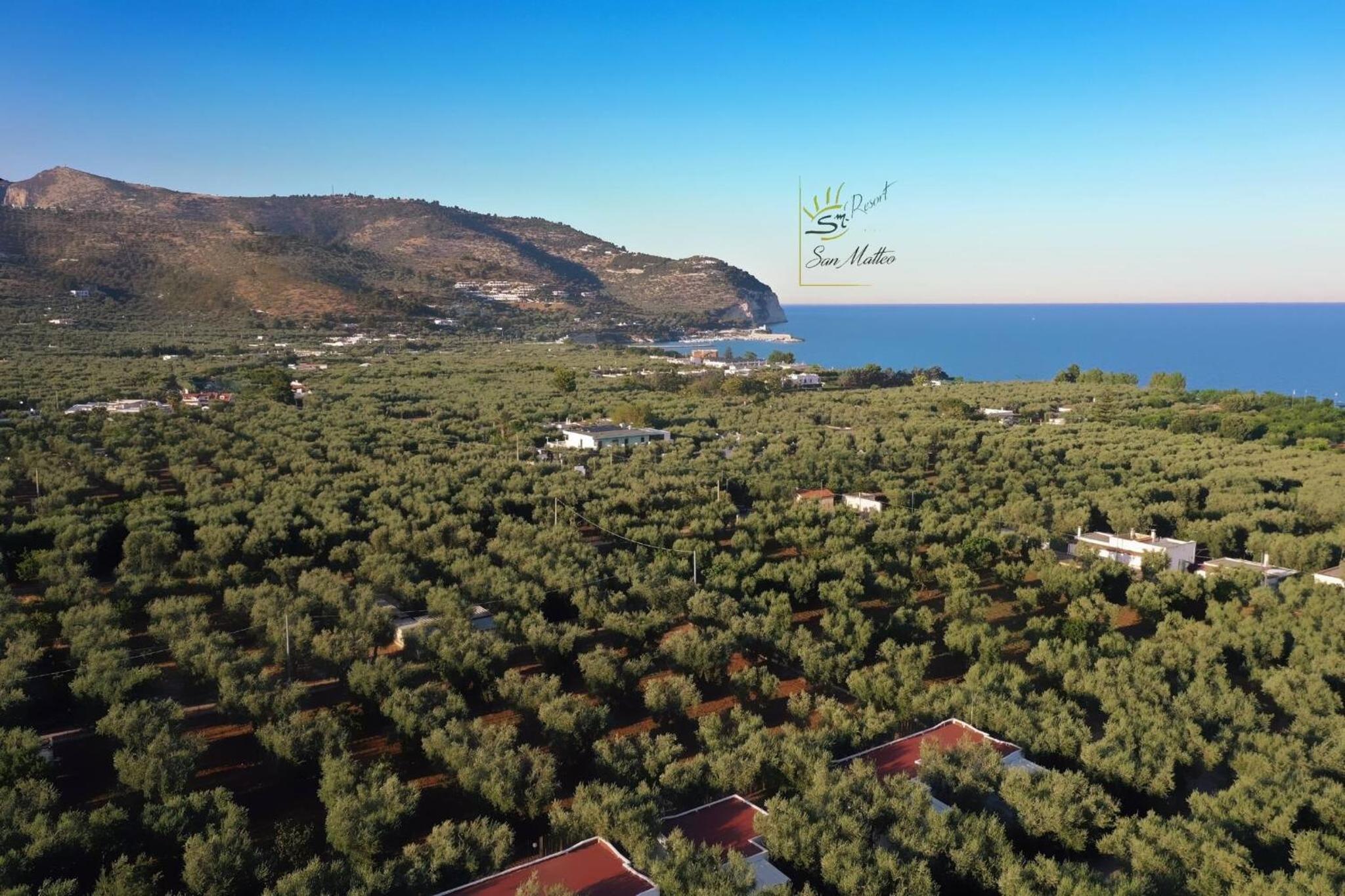 saracena Holiday Home with Beach and Swimming Pool