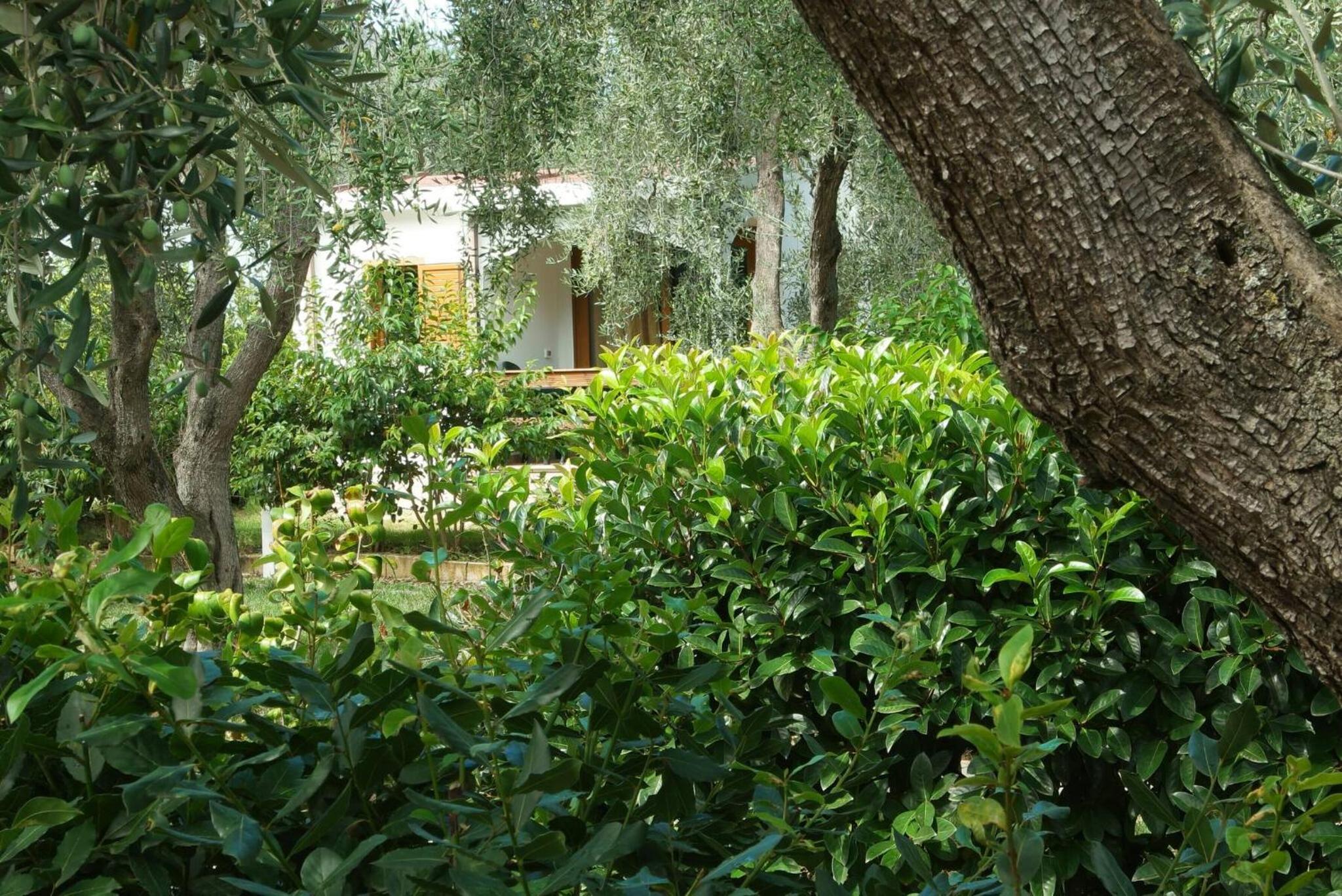 saracena Holiday Home with Beach and Swimming Pool
