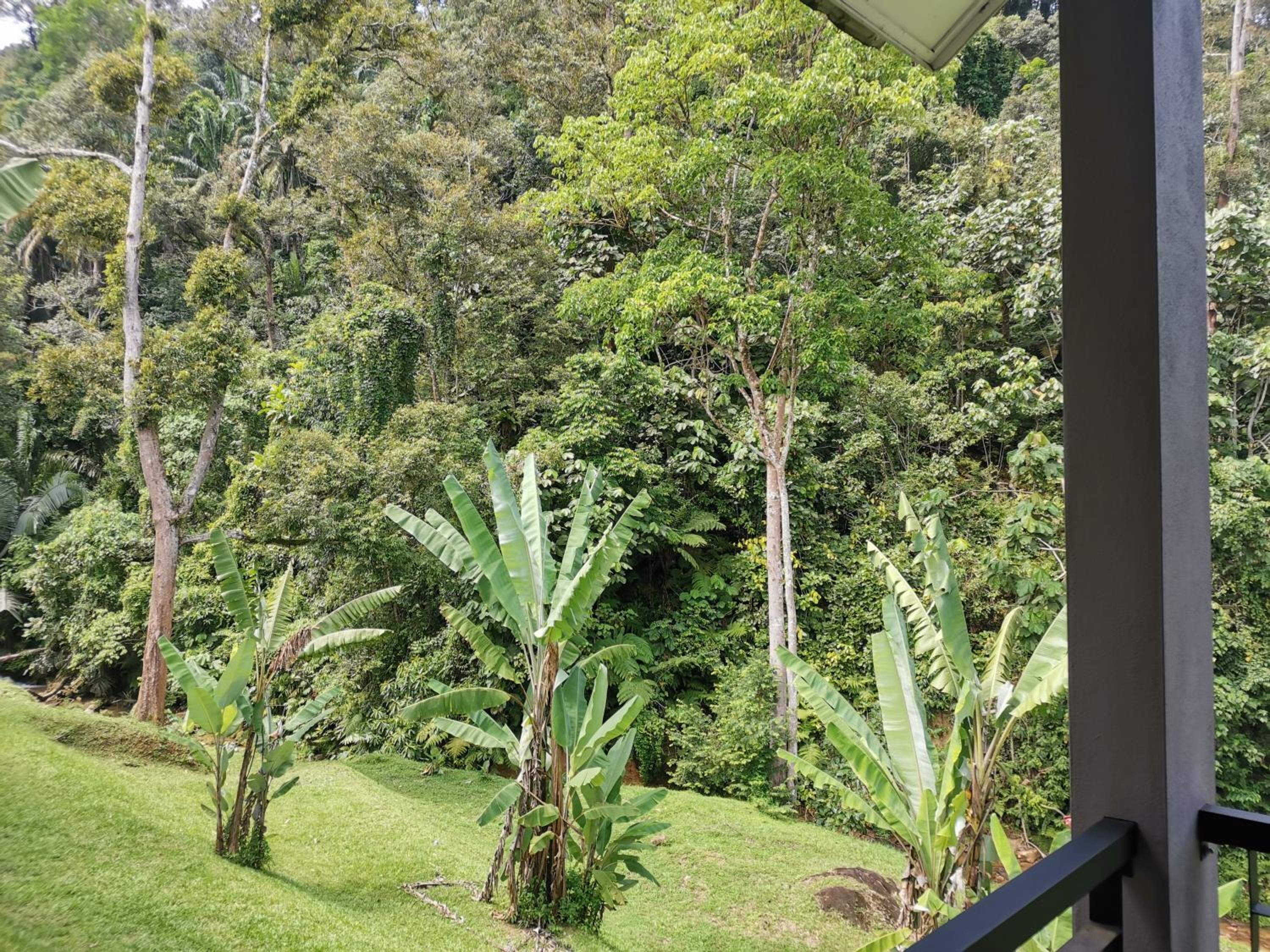 Sementra Hot Spring Nature Resort photo 6