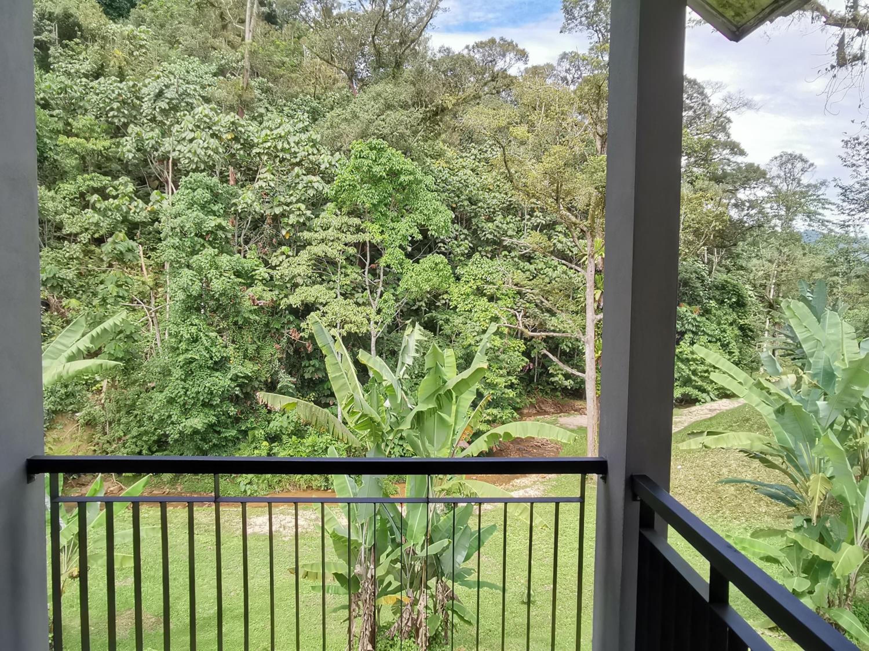 Sementra Hot Spring Nature Resort photo 2