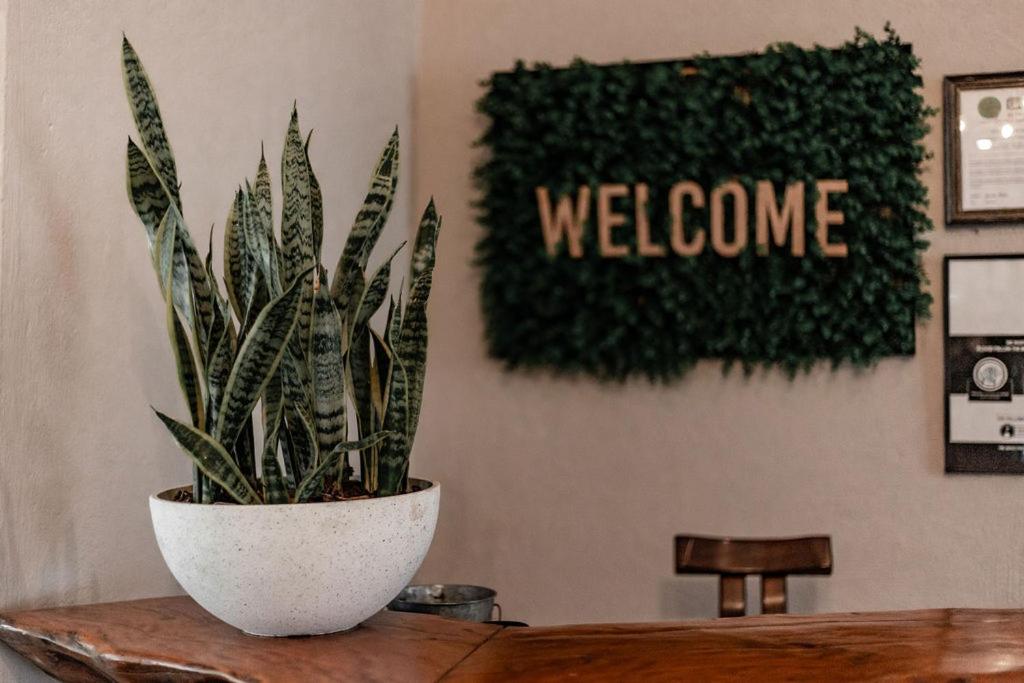 Hazyview Vacations - Linvale Country Lodge - Property Image 16