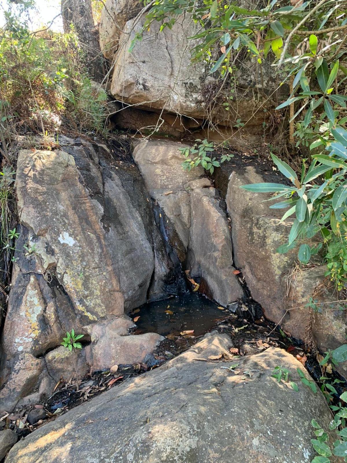 Photo 48