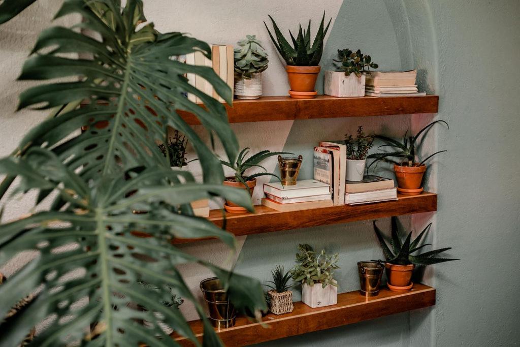 Hazyview Vacations - Linvale Country Lodge - Property Image 39