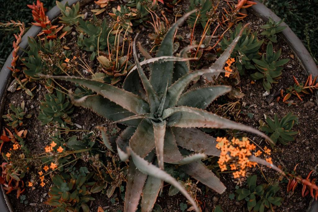 Hazyview Vacations - Linvale Country Lodge - Property Image 65