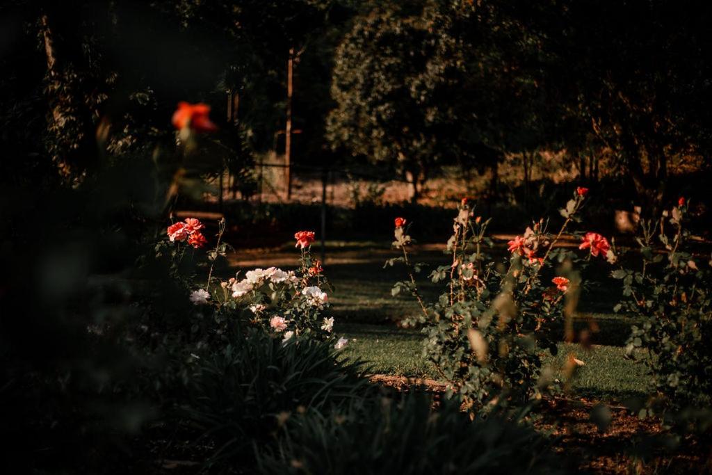 Hazyview Vacations - Linvale Country Lodge - Property Image 66