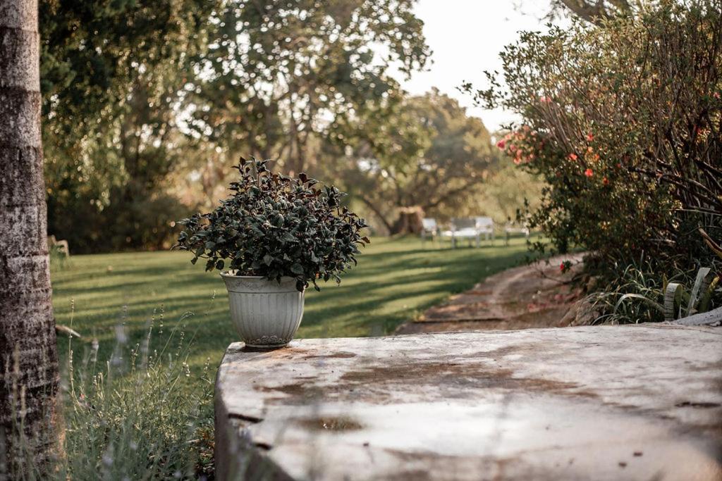 Hazyview Vacations - Linvale Country Lodge - Property Image 60