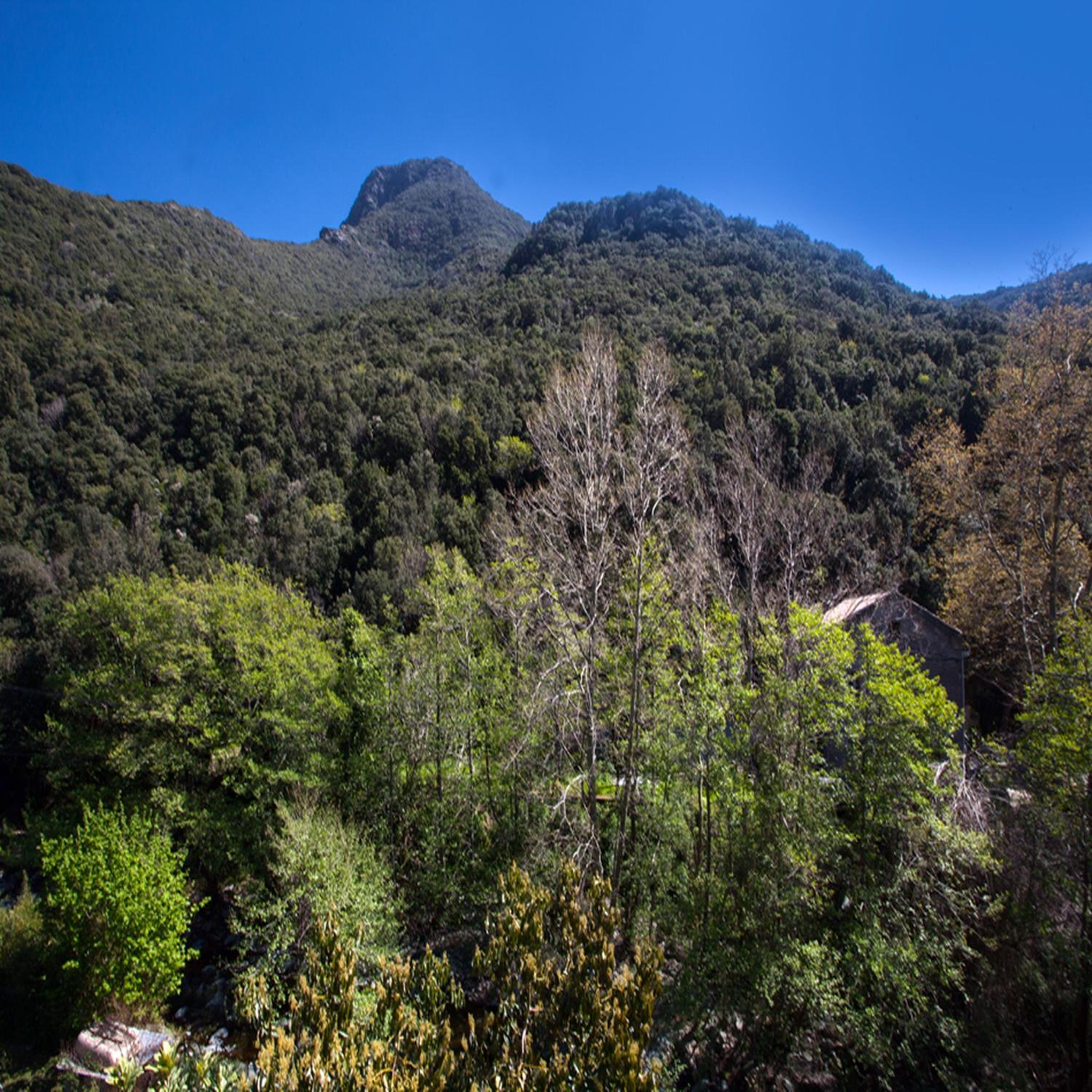 Les Gîtes du Cap Corse