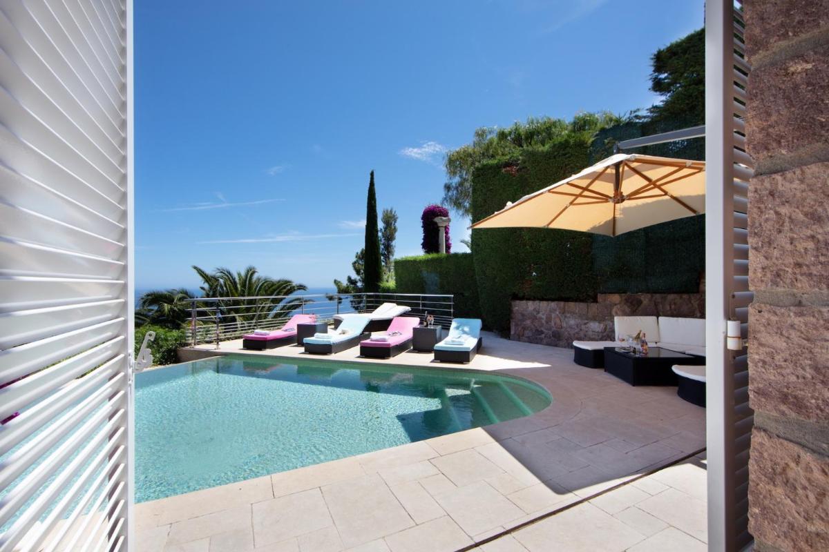 Photo 41
