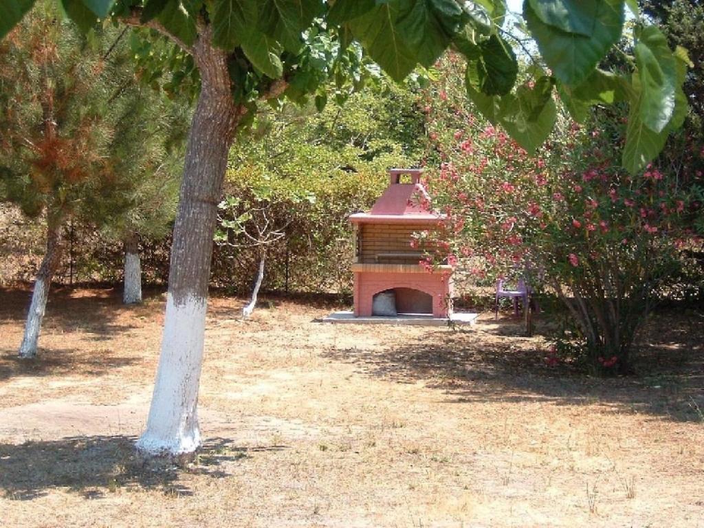 Photo 38
